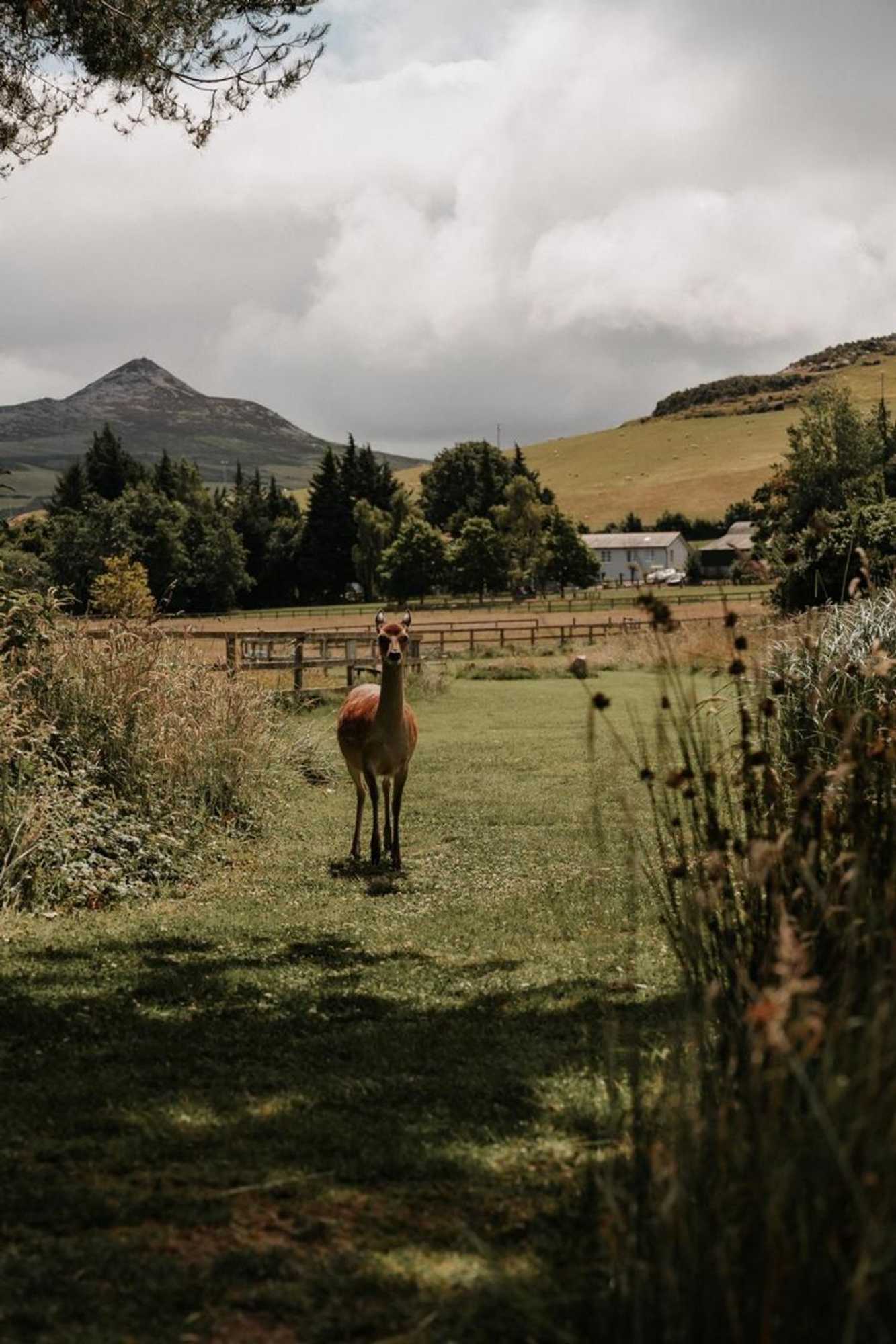 Gift card for Powerscourt Springs Health Farm Gift card for Powerscourt Springs Health Farm