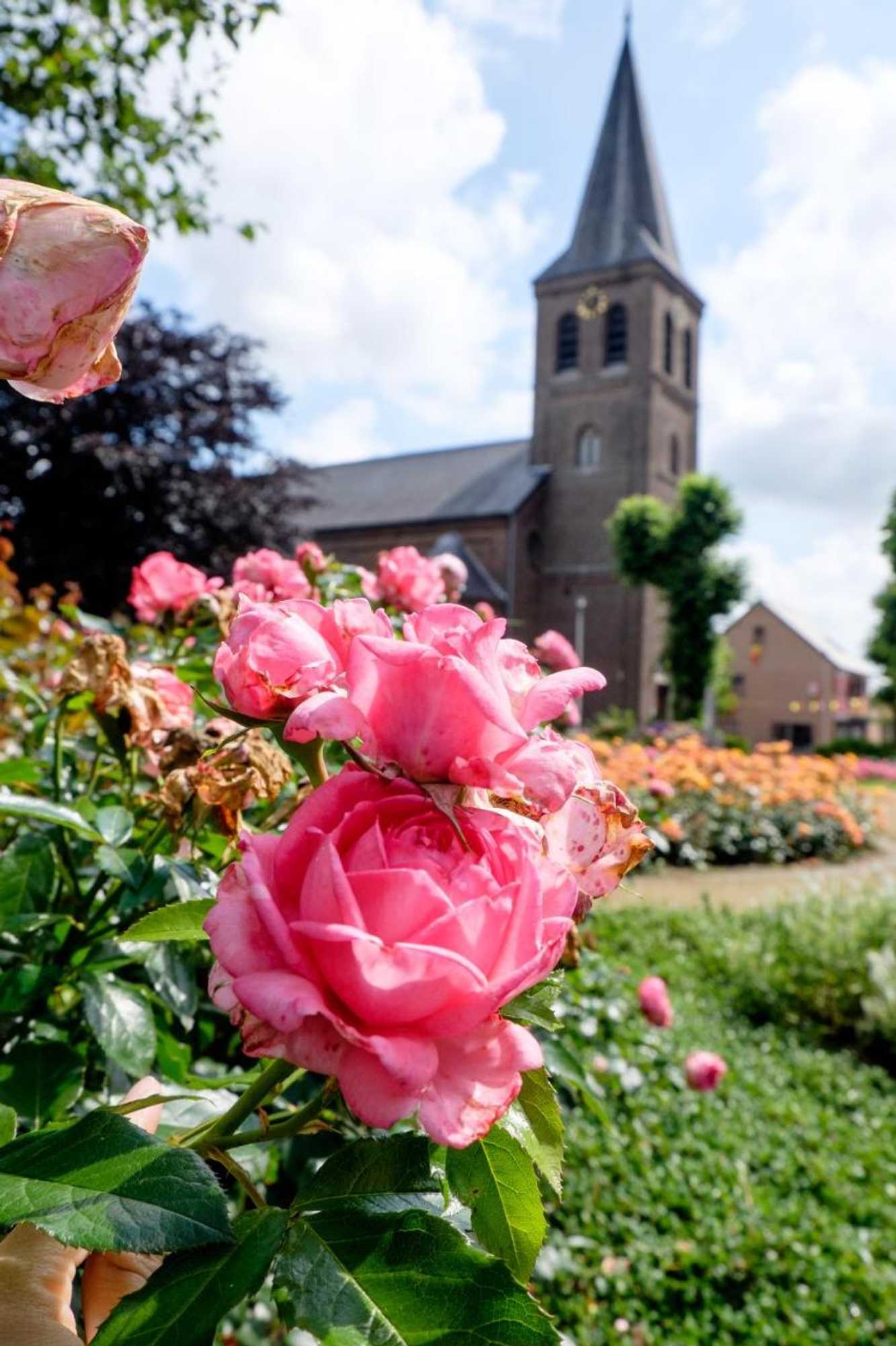 Gift card for B&b Orgel Thuis