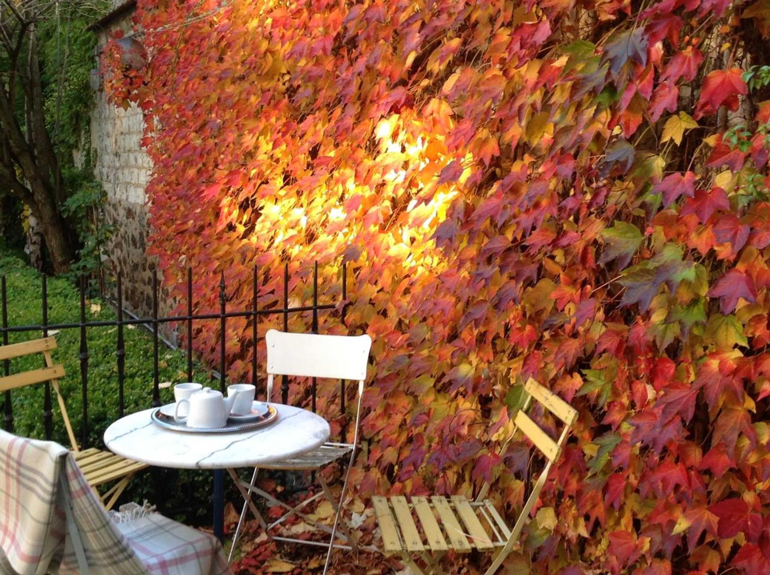 Gift card for La Demeure Des Sacres - Cathédrale Gift card for La Demeure Des Sacres - Cathédrale