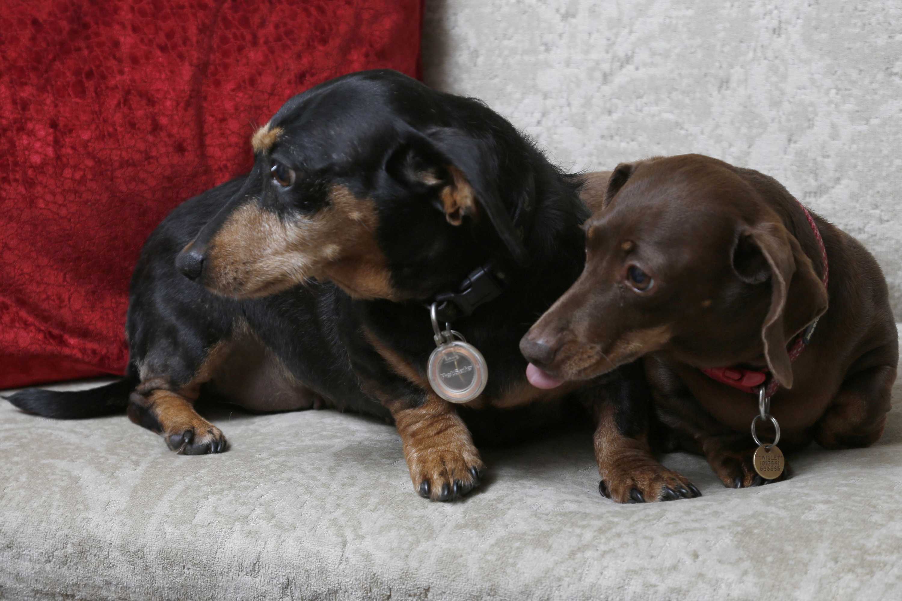 Gift card for Best Western Sysonby Knoll Hotel