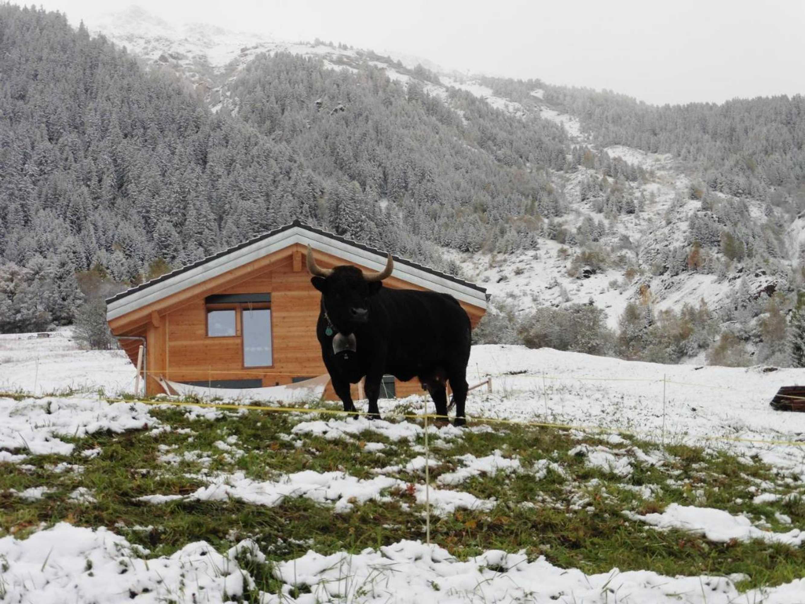 Gift card for La Clé Des Champs