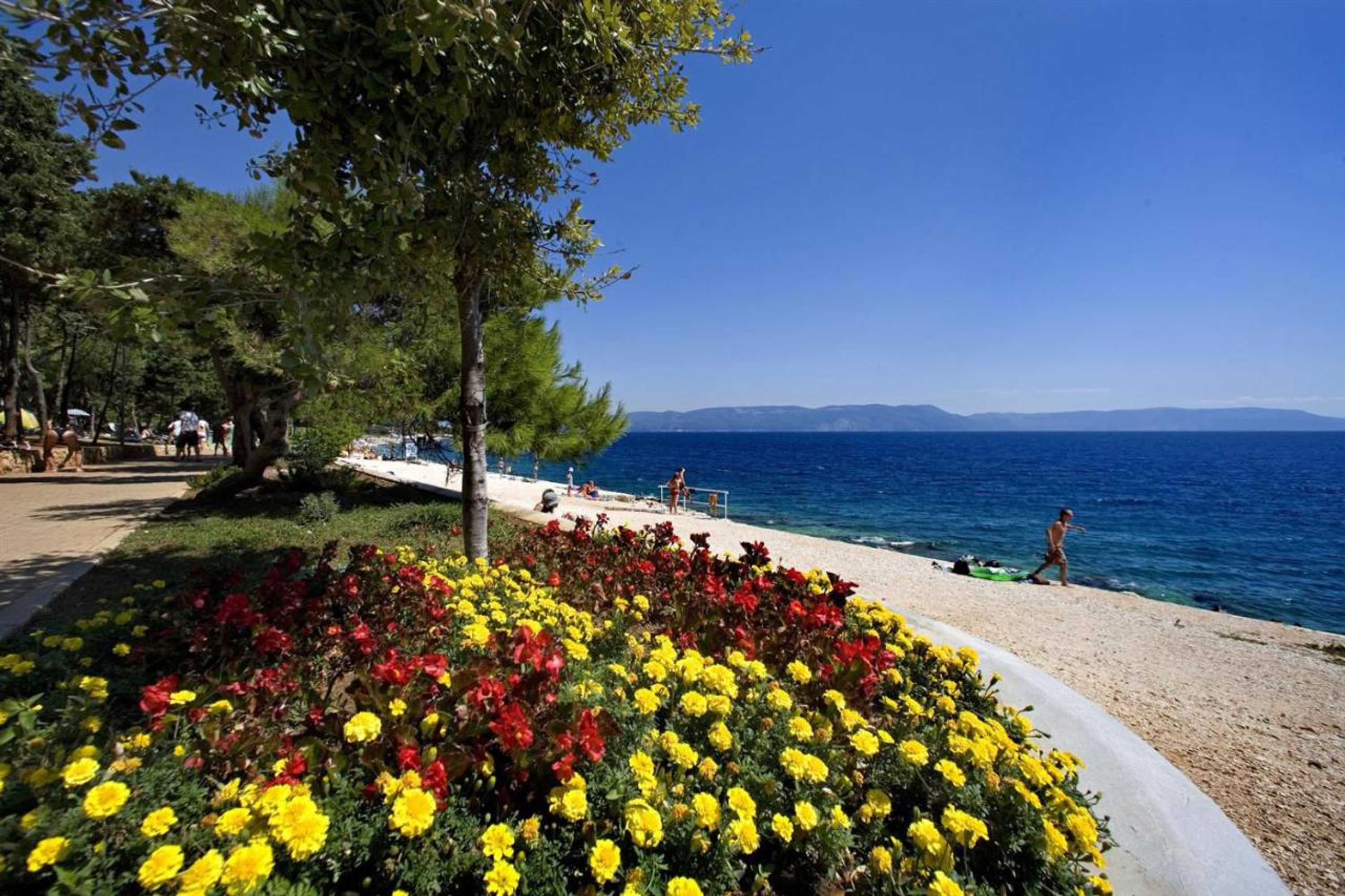 Gift card for House Dean