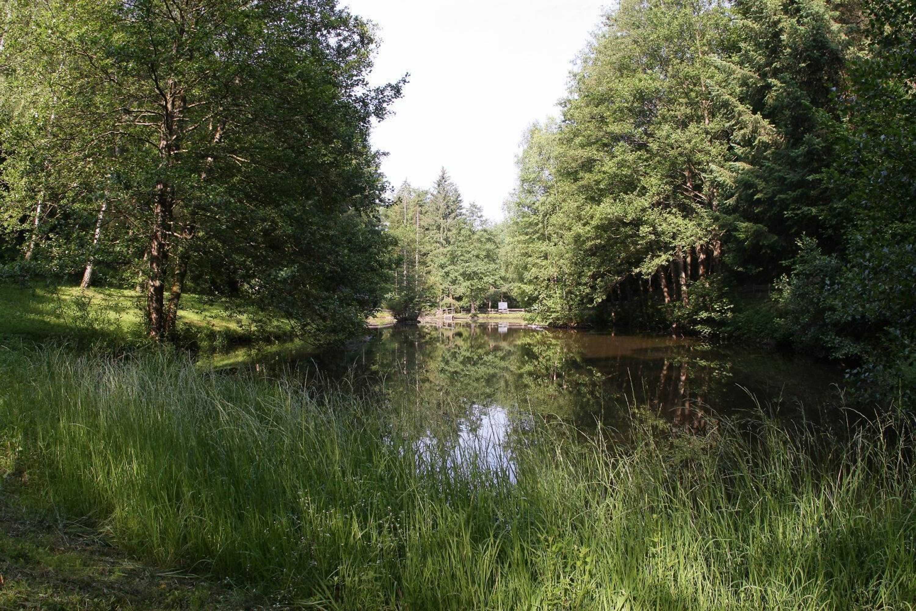 Gift card for Hotel Zur Morschbach