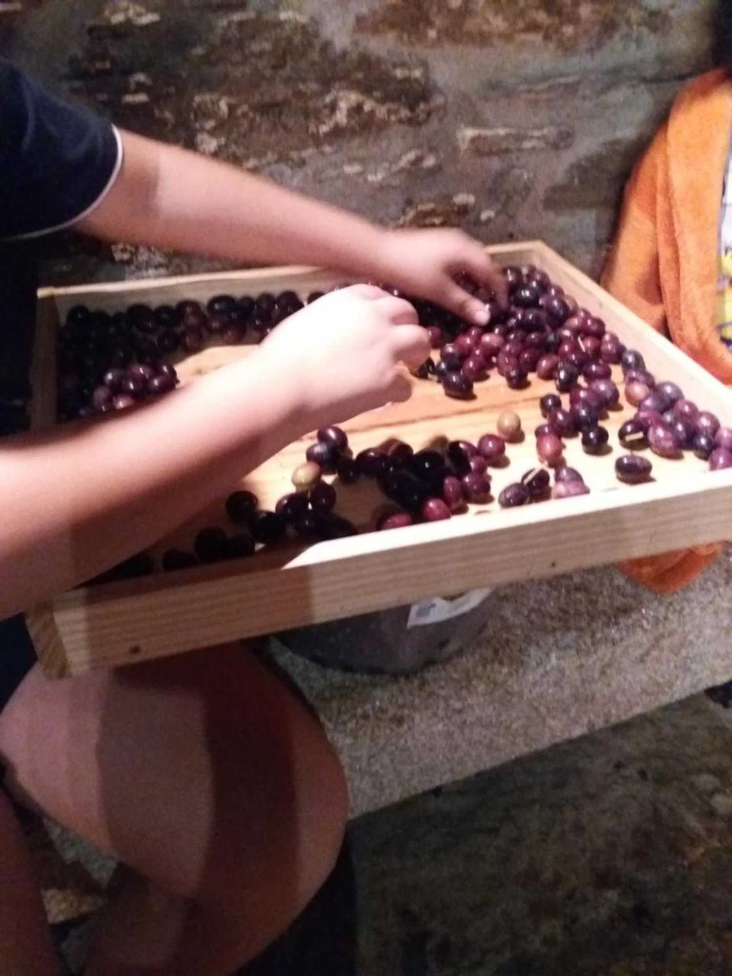 Gift card for Casa de Campo Dos Távoras Gift card for Casa de Campo Dos Távoras