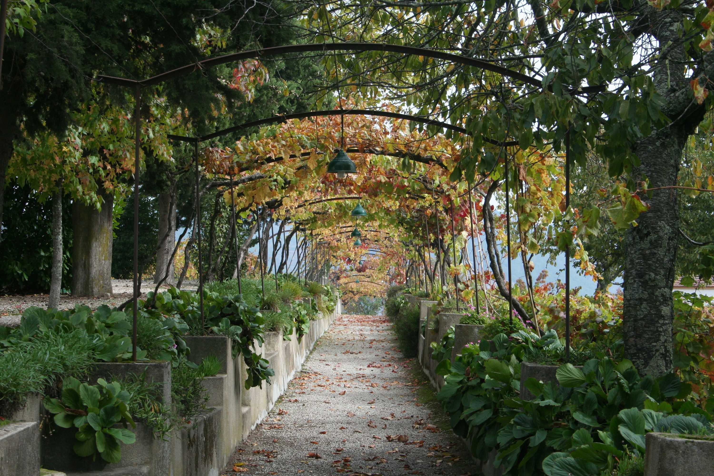 Gift card for Quinta da Cumieira