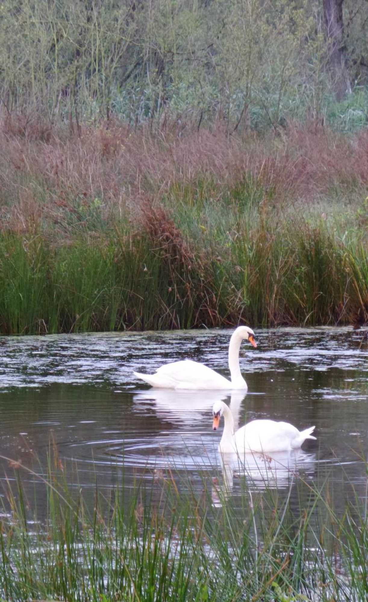 Gift card for Aan de Molenberg