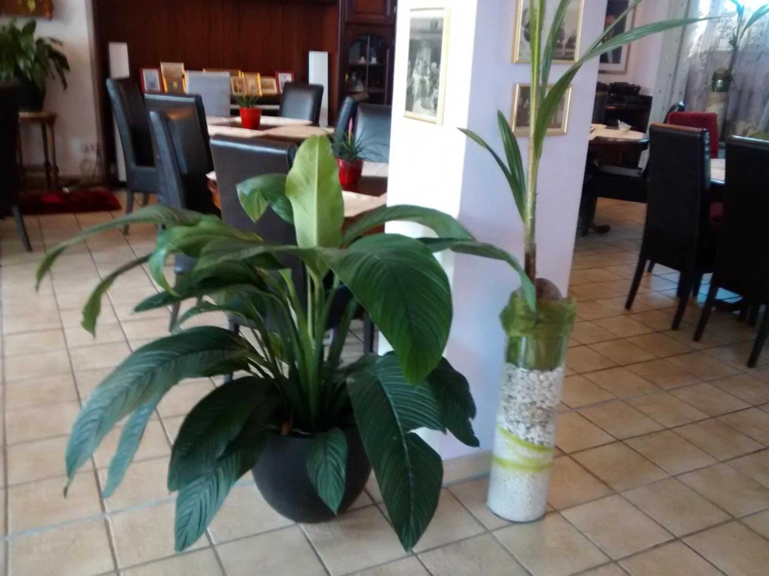 Gift card for Hotel Attaché Frankfurt Airport Raunheim