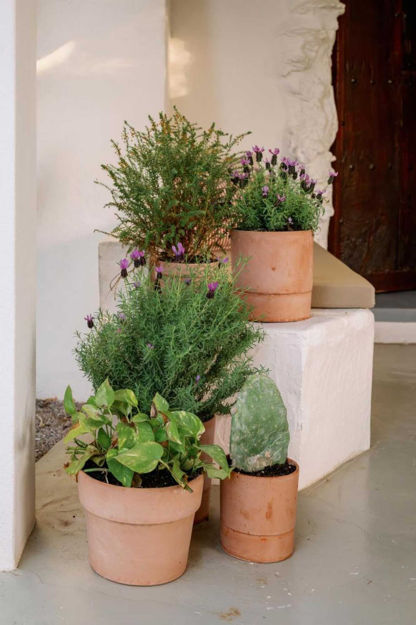 Gift card for Hotel Can Sastre Gift card for Hotel Can Sastre