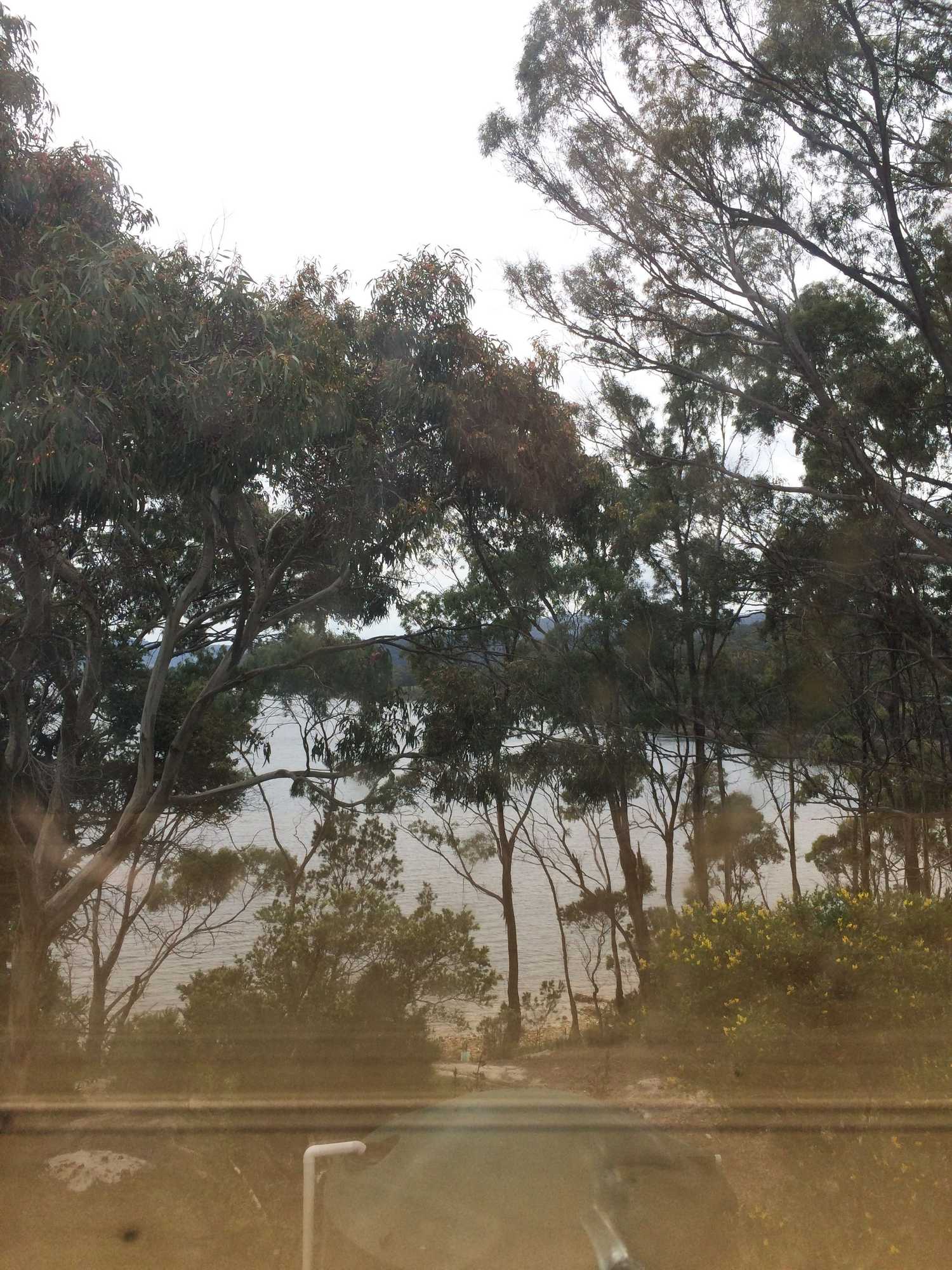 Gift card for Tranquil Point