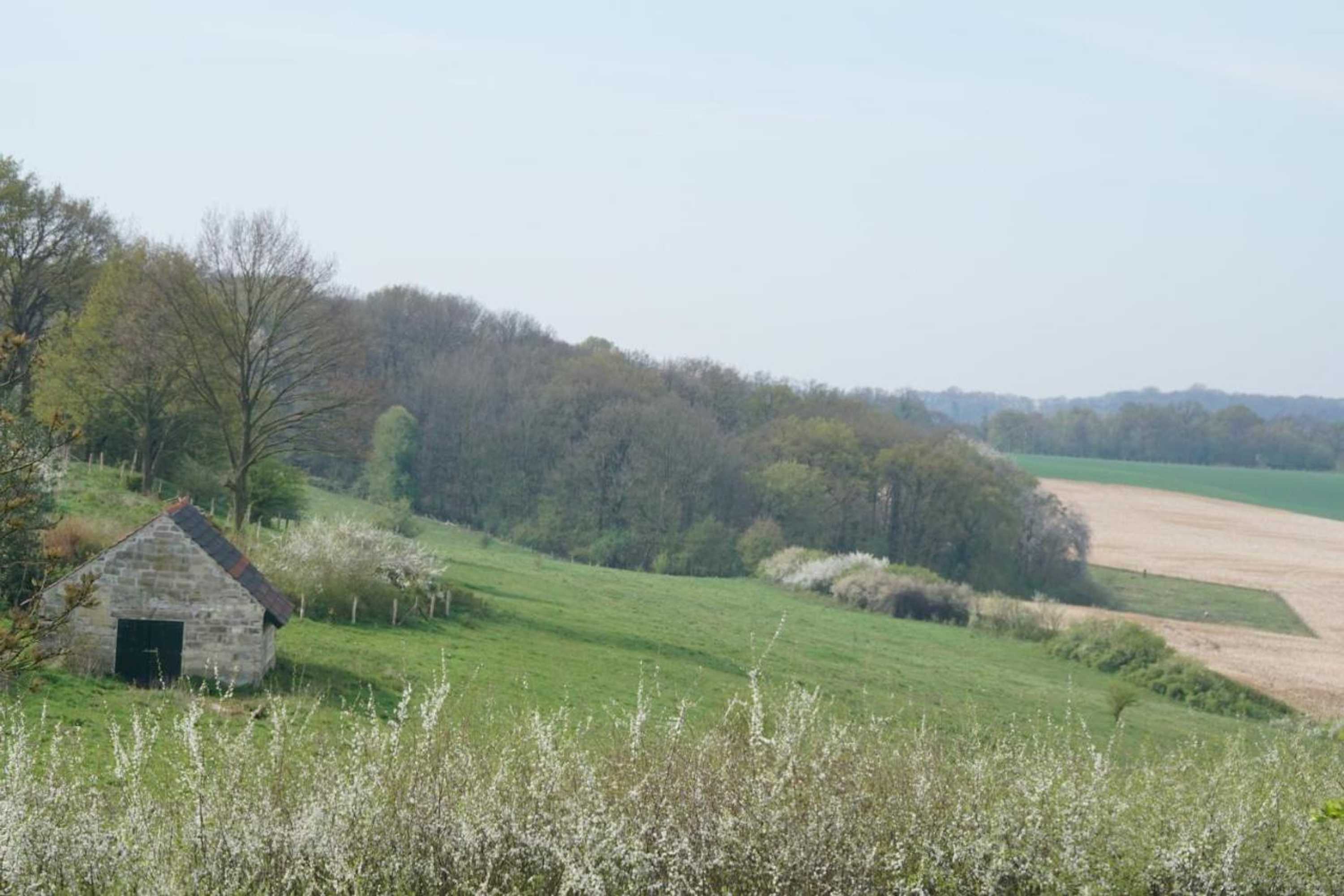 Gift card for Hotel Bemelmans