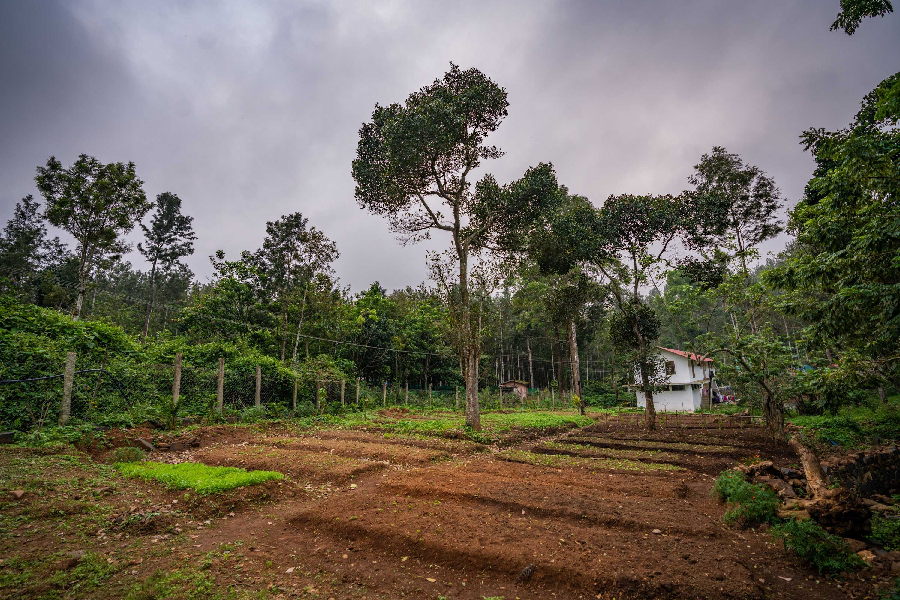 Gift card for Shambala Yercaud Gift card for Shambala Yercaud