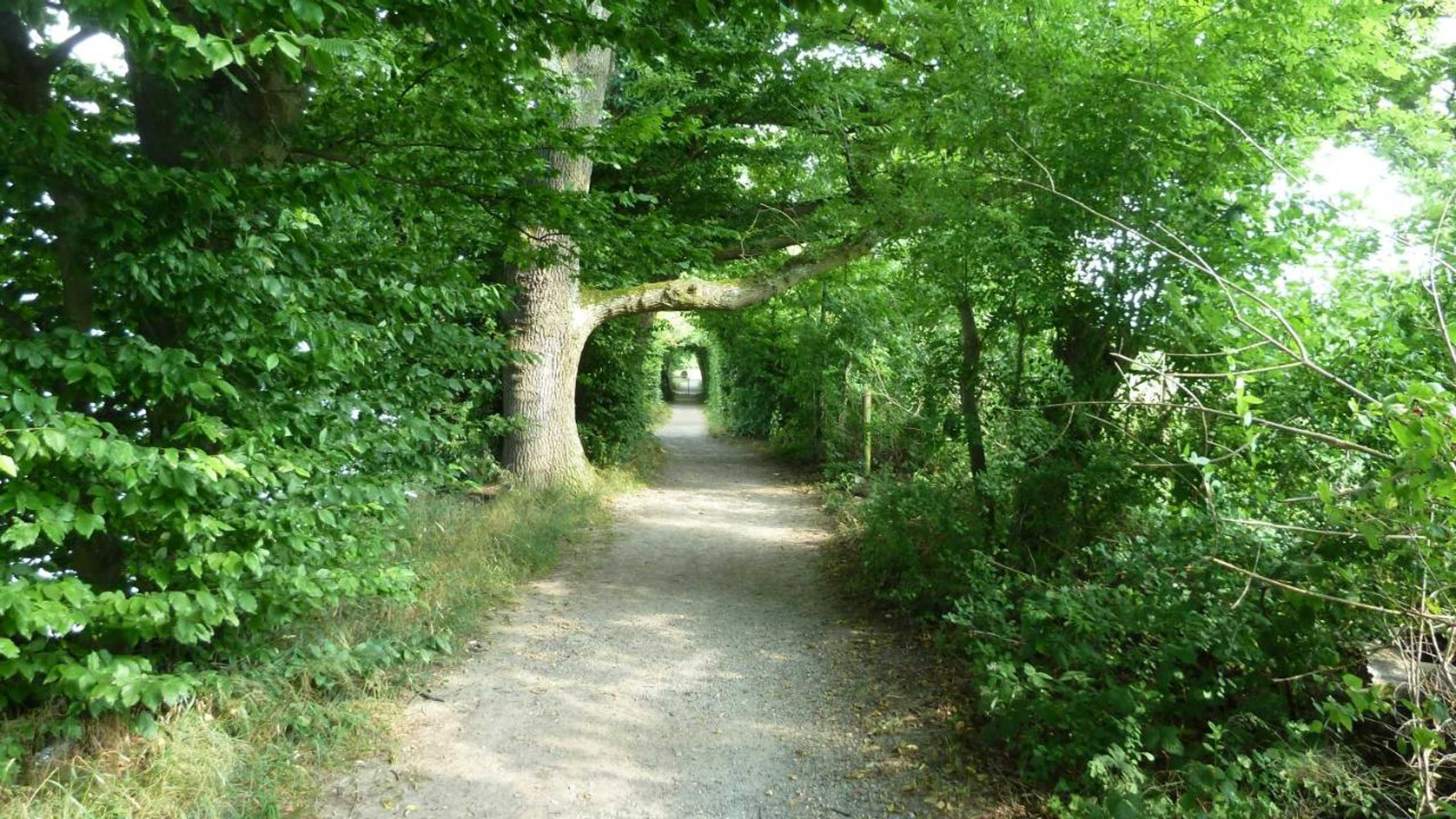 Gift card for Hotel Restaurant Sokrates