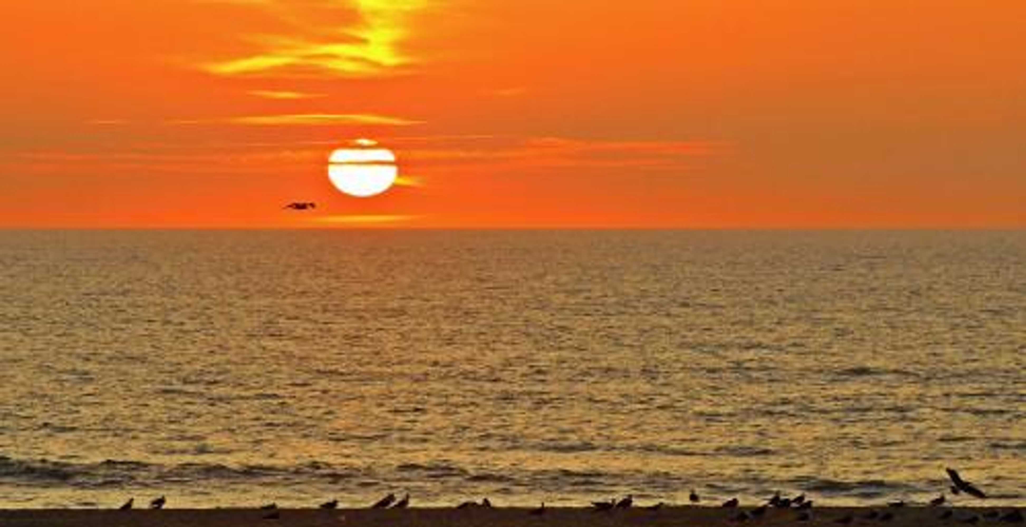 Gift card for Torreira Camping & Bungalows Gift card for Torreira Camping & Bungalows