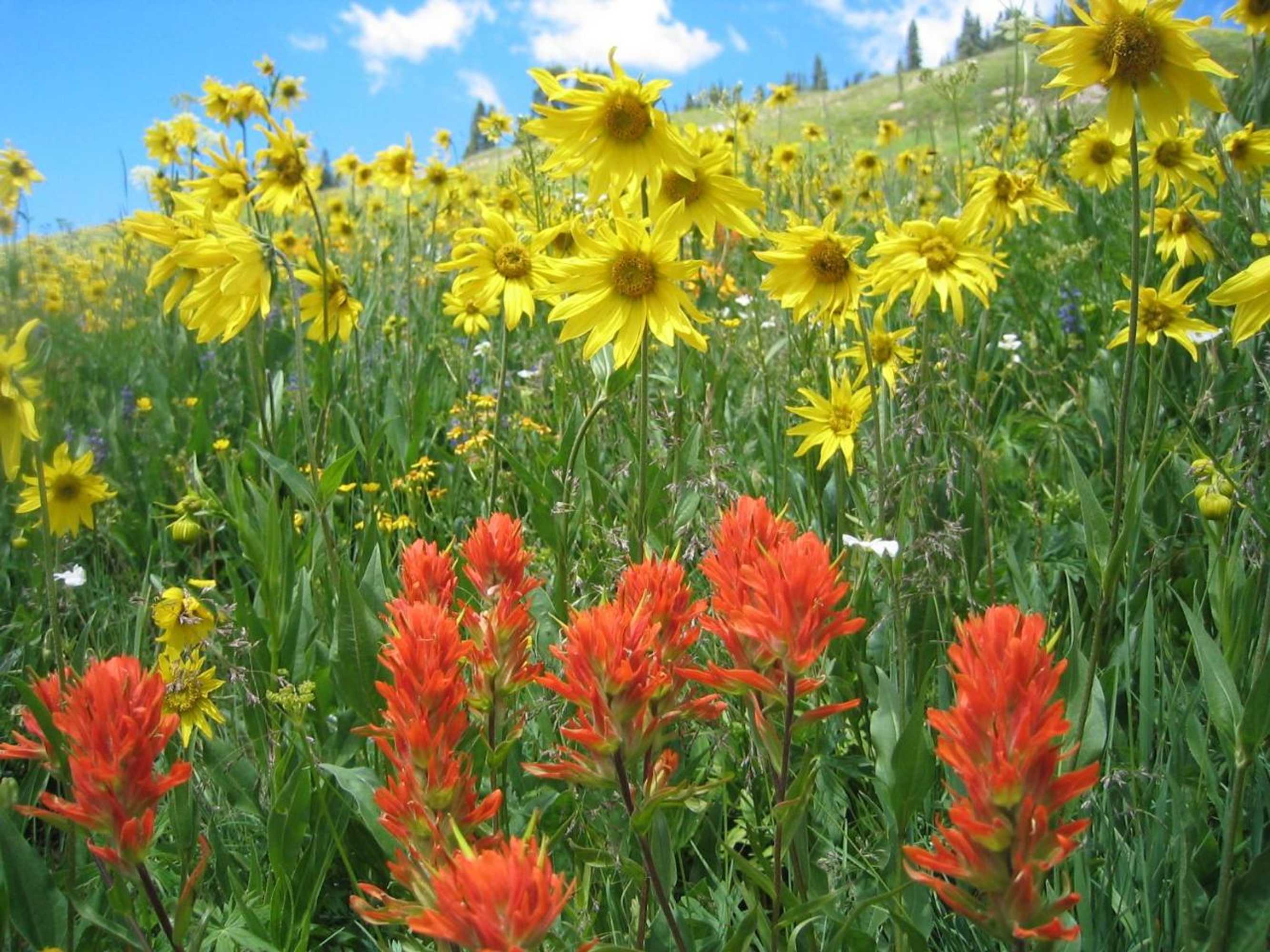 Gift card for Cristiana Guesthaus