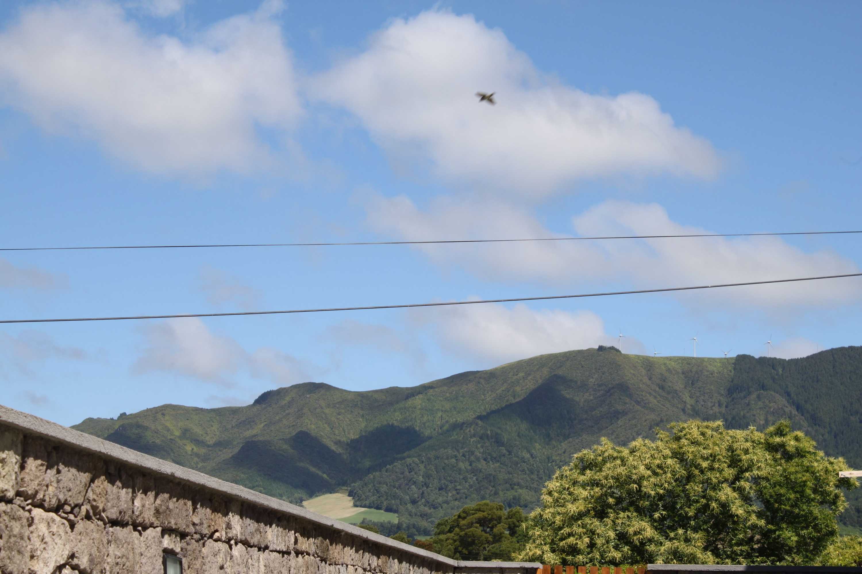 Gift card for Casa da Cisaltina Gift card for Casa da Cisaltina