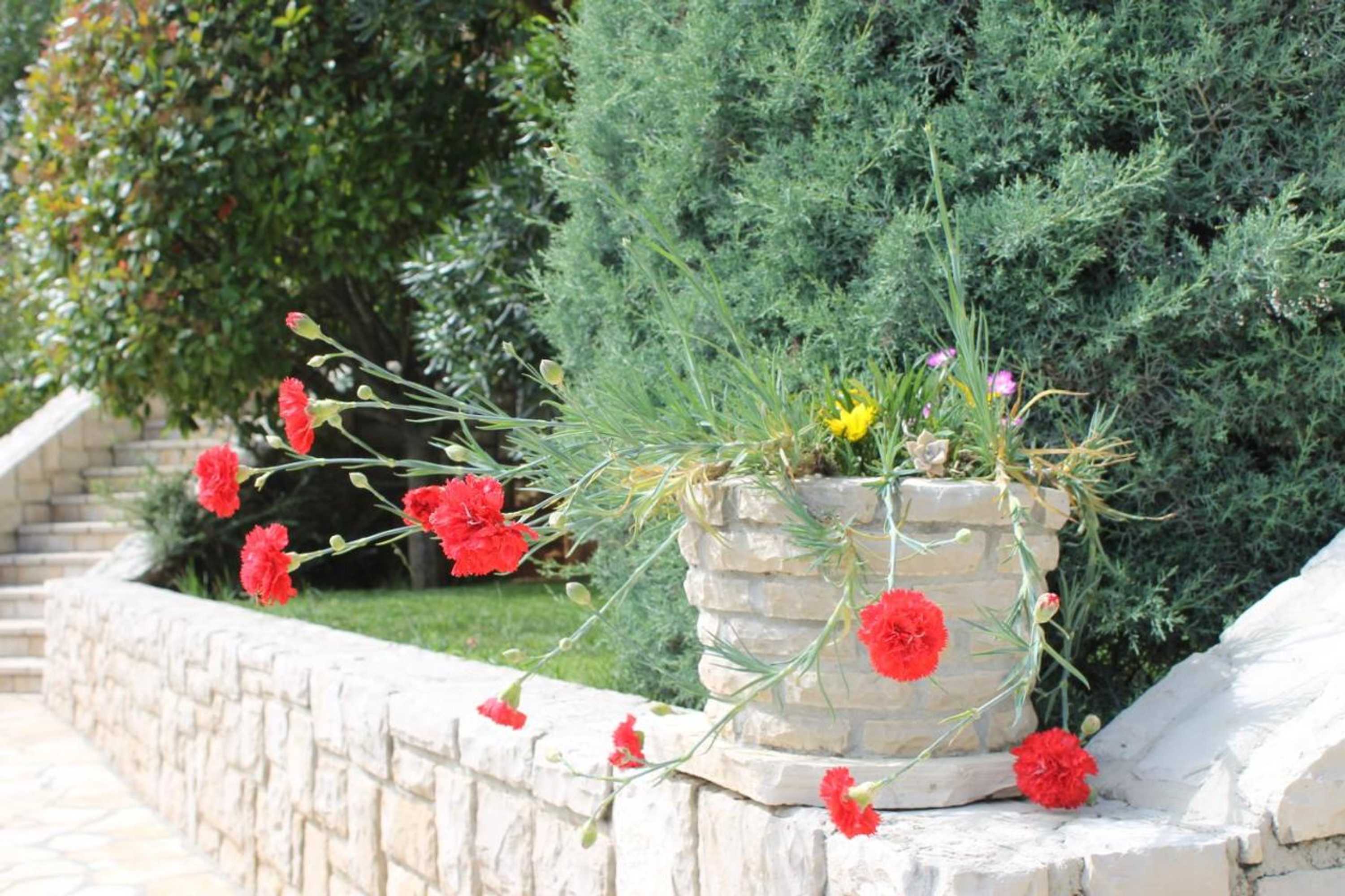 Gift card for Apartments Mareblu