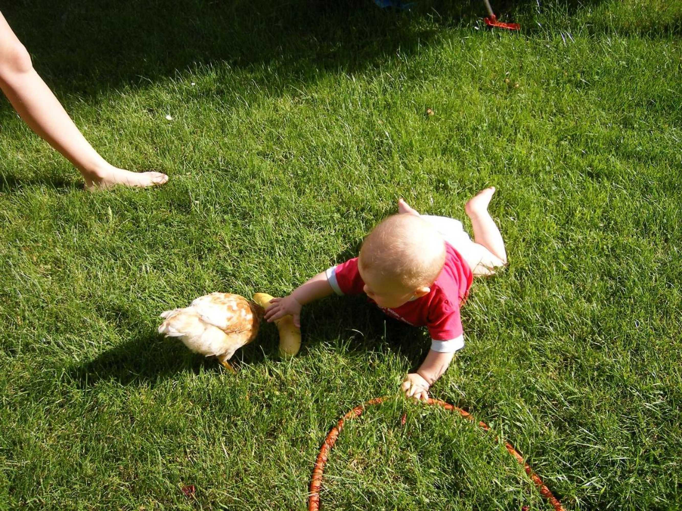 Gift card for Ferienwohnungen Frick