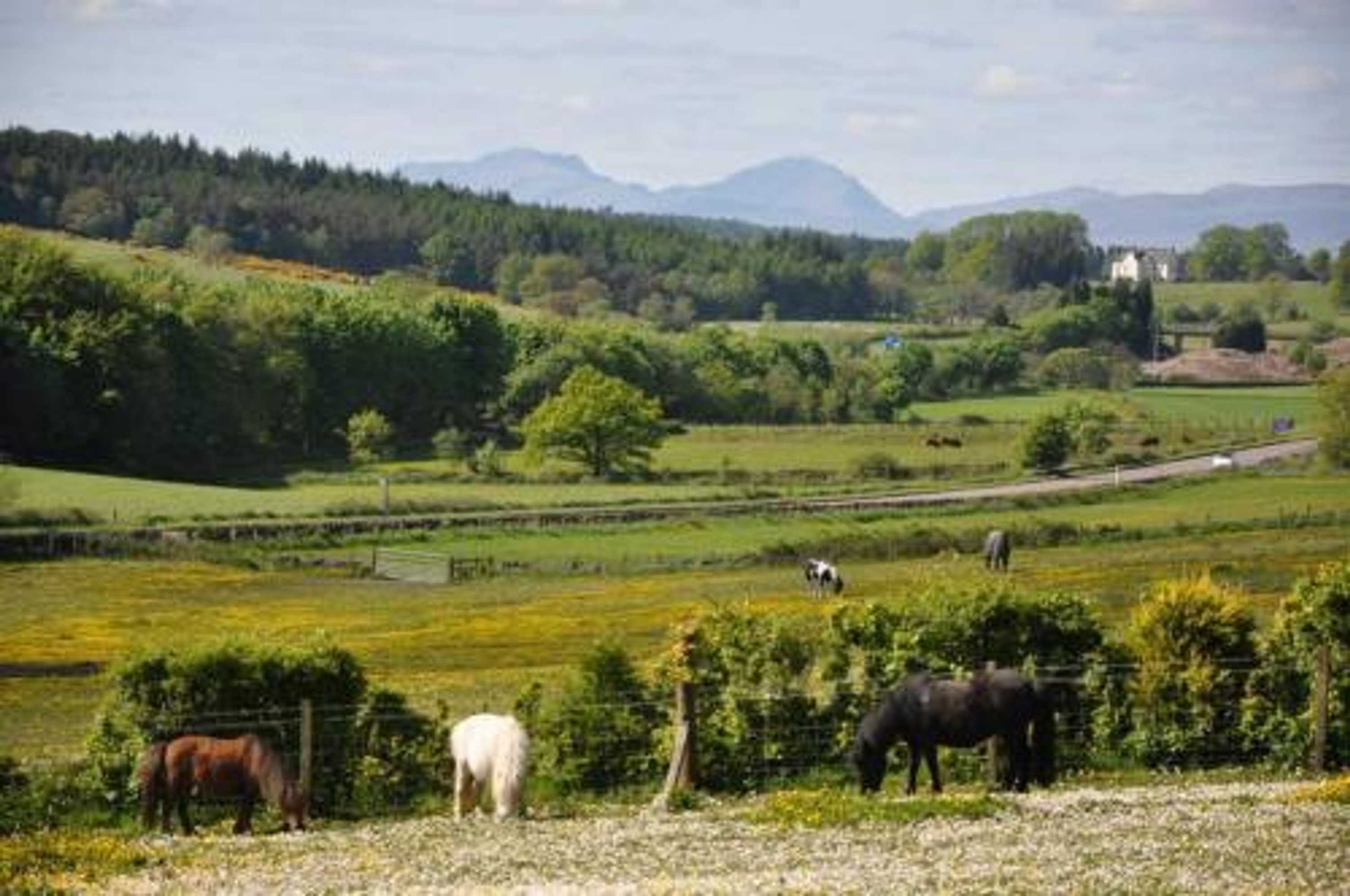 Gift card for Wellsfield Farm Holiday Lodges Gift card for Wellsfield Farm Holiday Lodges