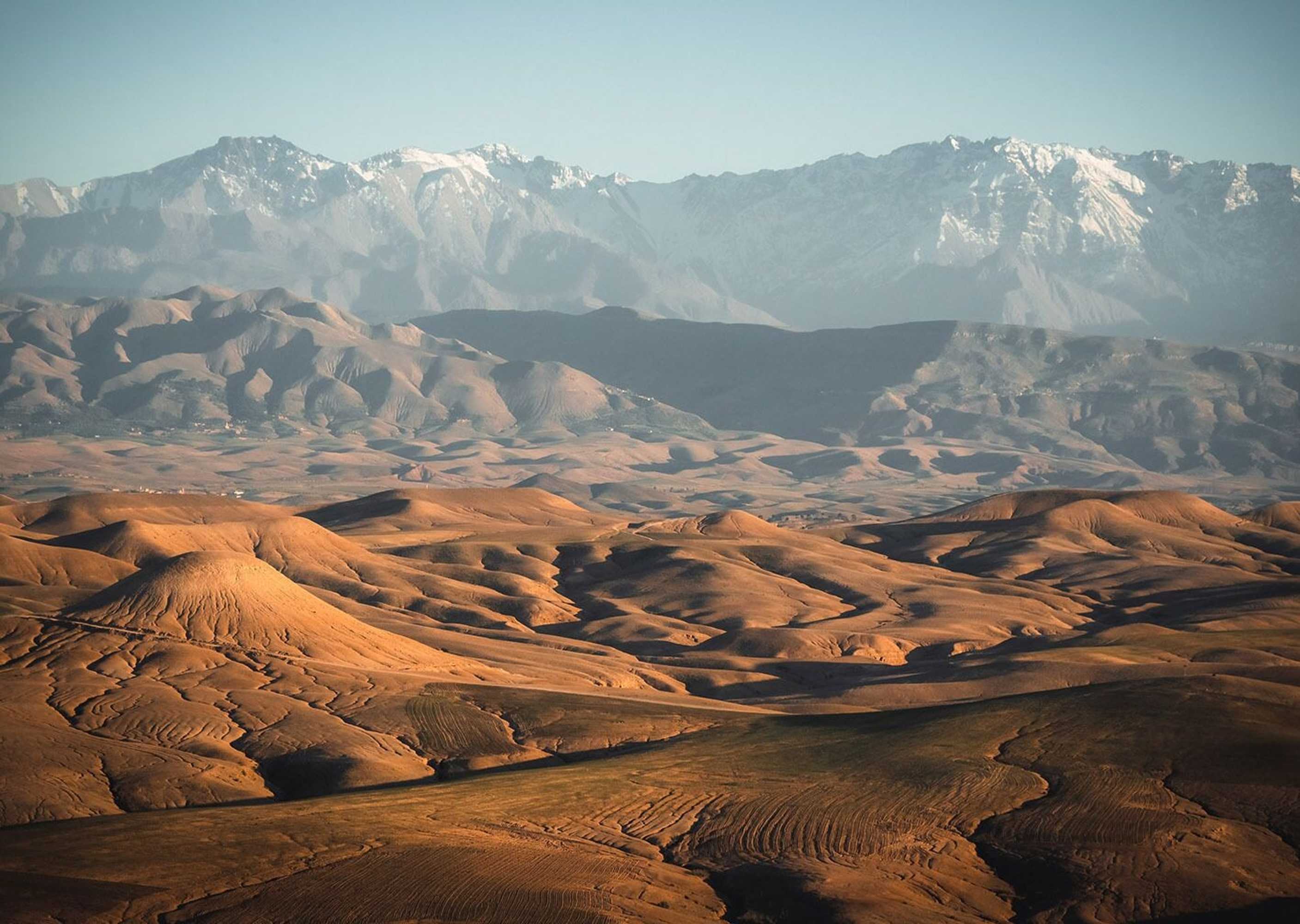 Gift card for Scarabeo Camp