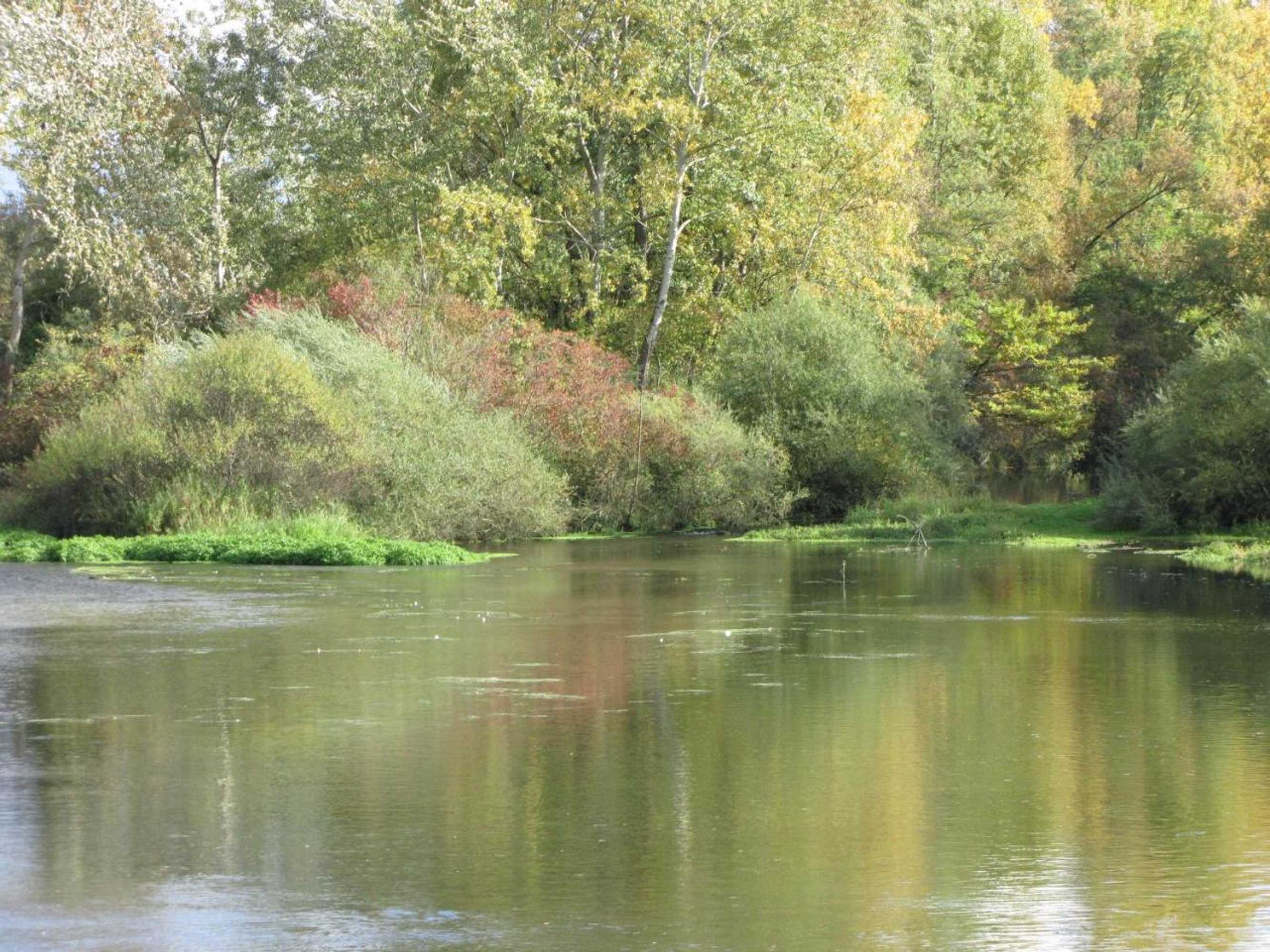 Gift card for Hotel Le Caballin