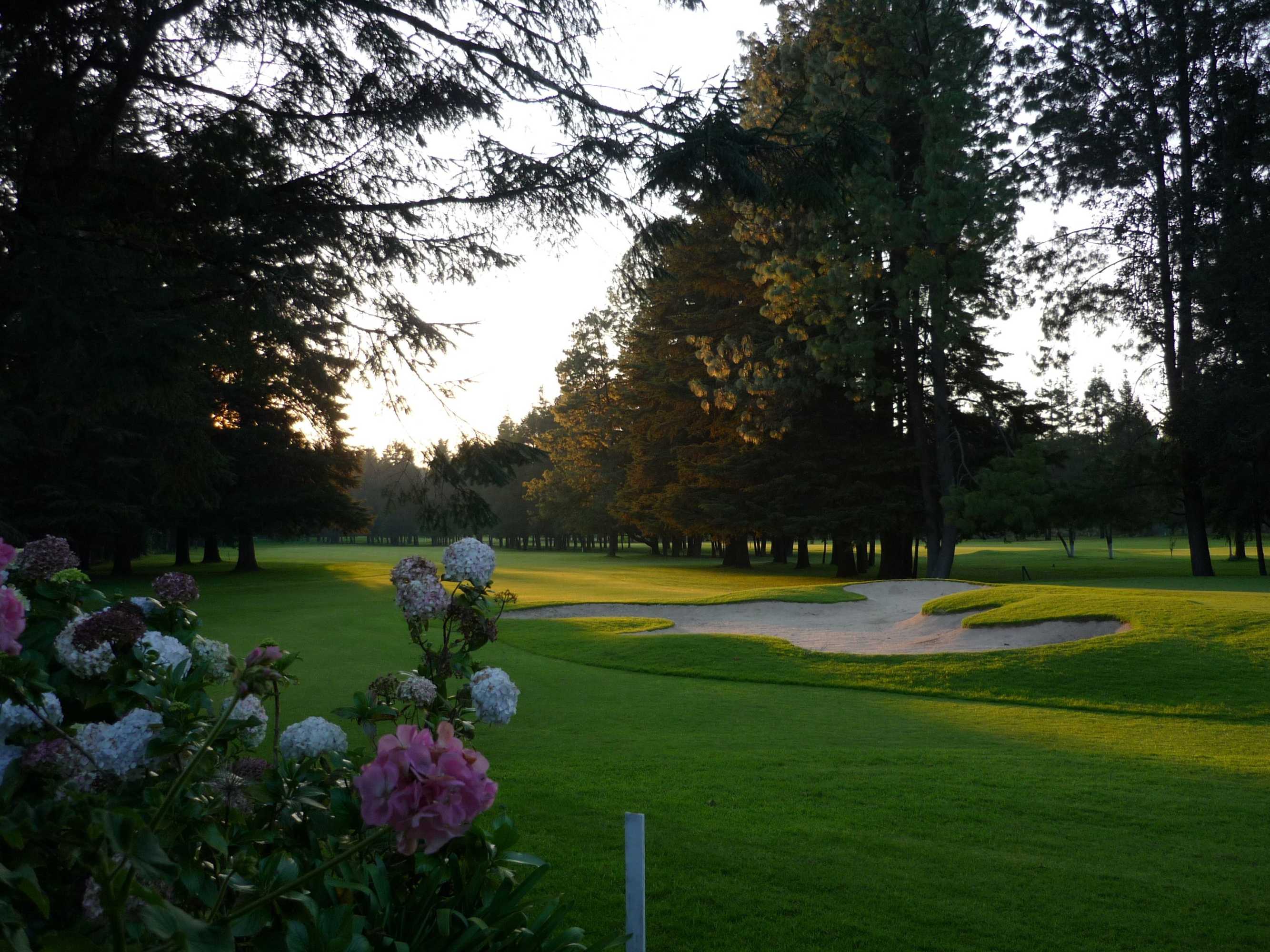 Gift card for Rancho Viejo