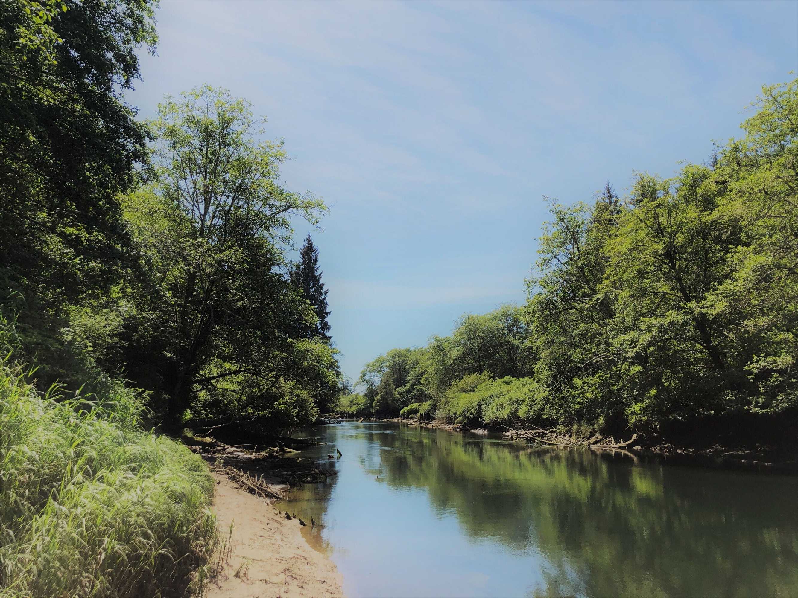 Gift card for Pacific Dunes Resort