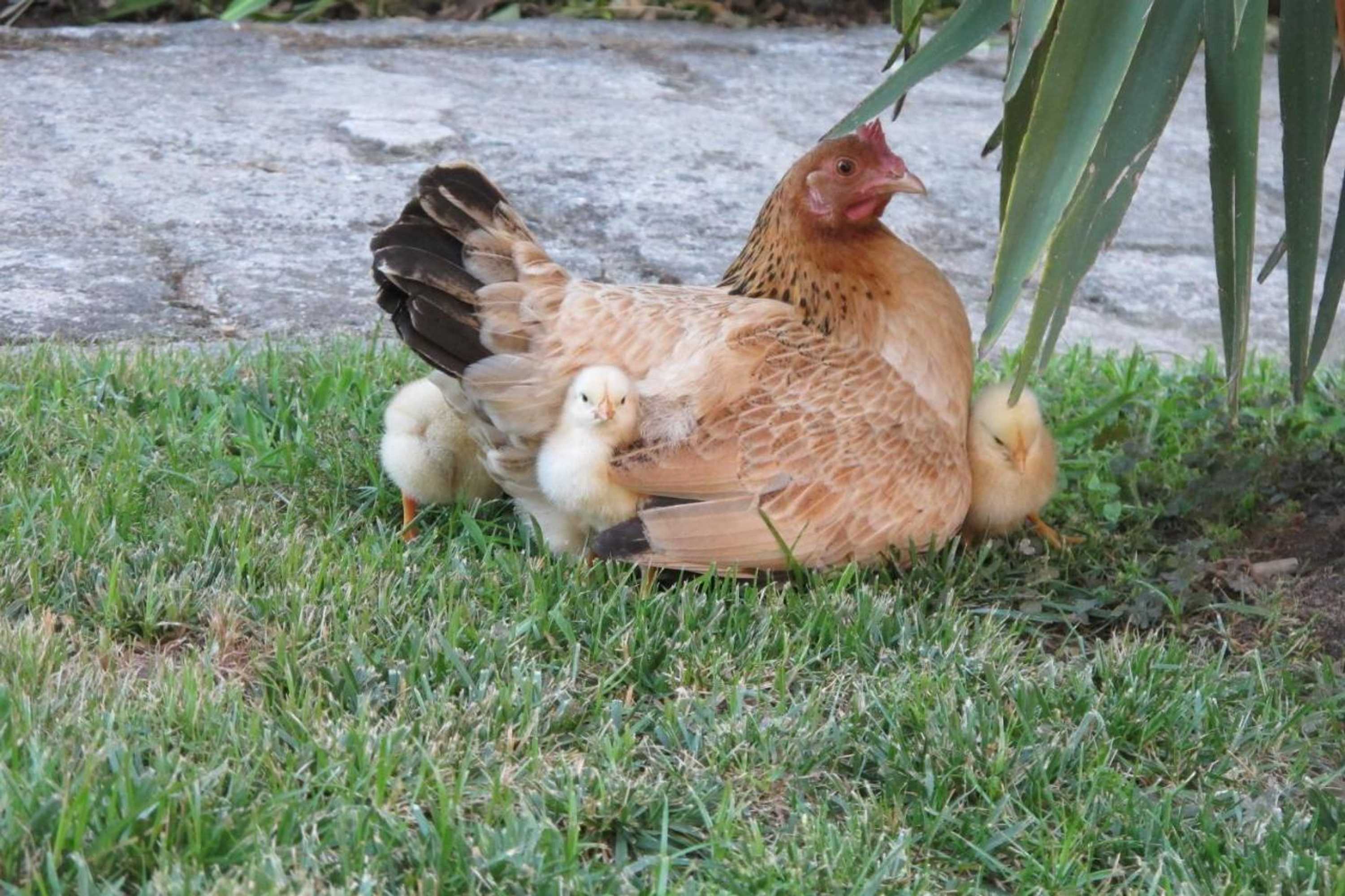 Gift card for No Meio da Natureza - Turismo No Espaco Rural Gift card for No Meio da Natureza - Turismo No Espaco Rural