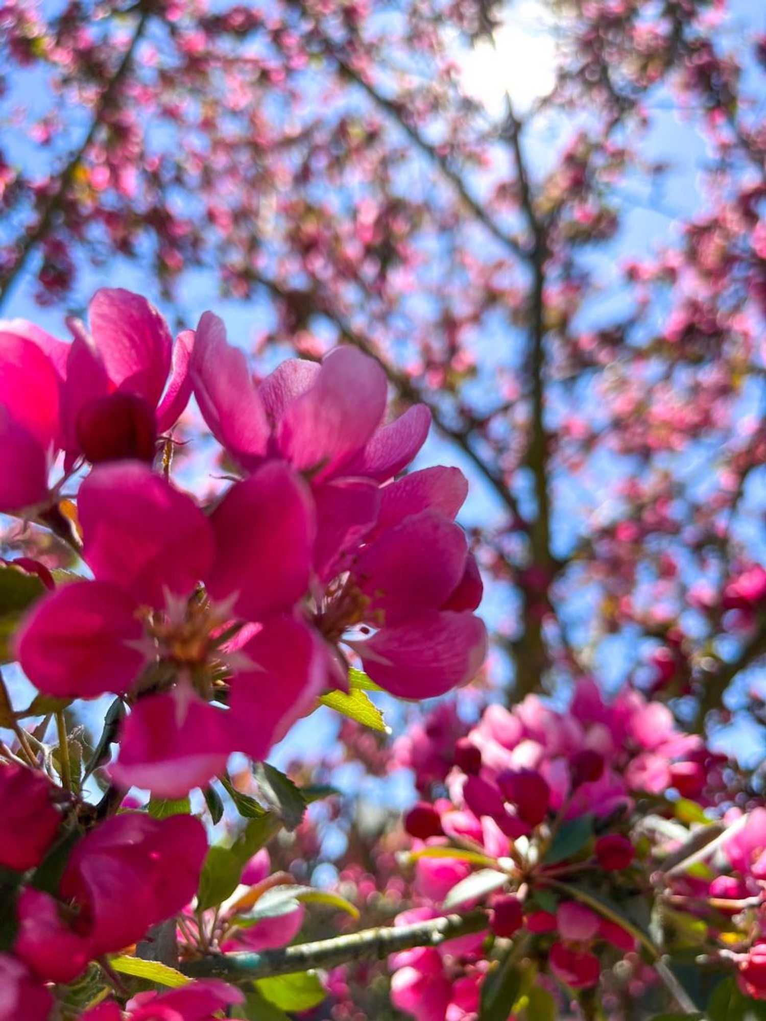 Gift card for Glashotel