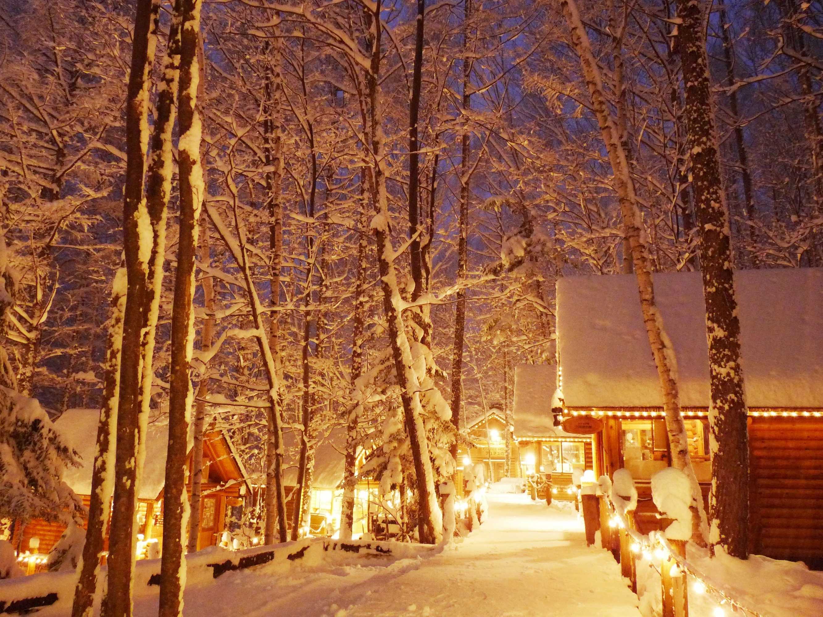 Gift card for Shin Furano Prince Hotel Gift card for Shin Furano Prince Hotel