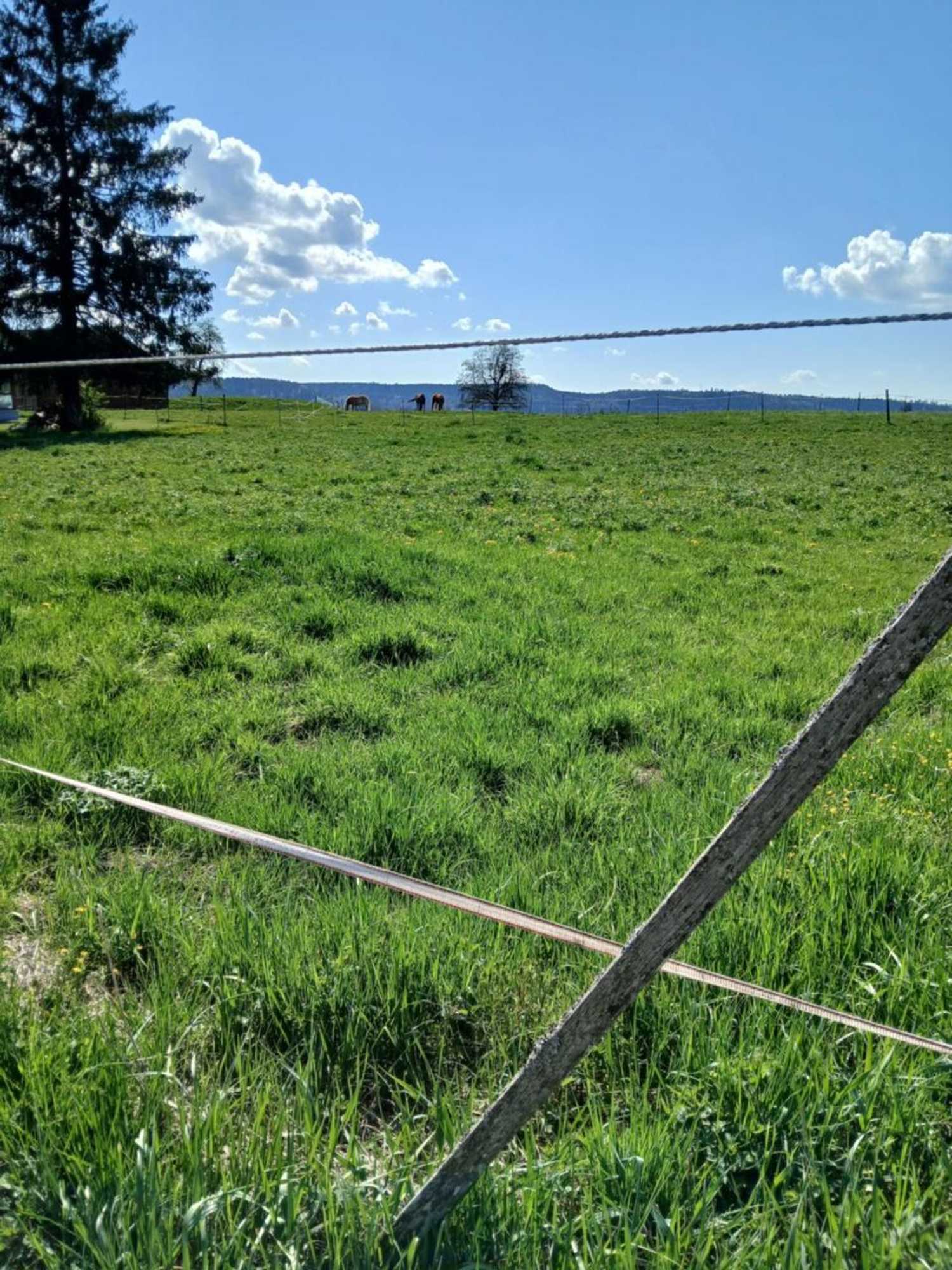 Gift card for Landgasthof Zum Seehof