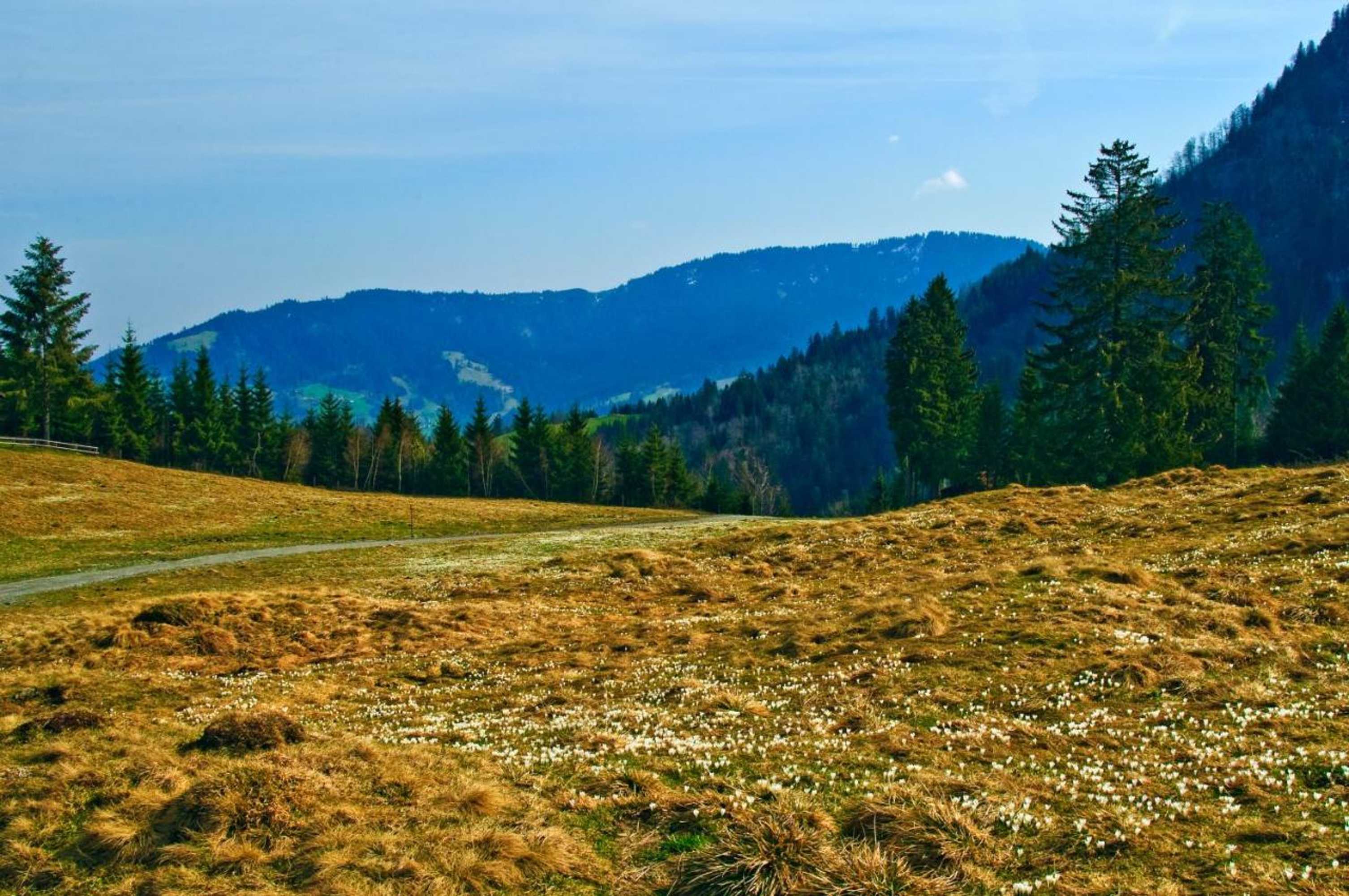 Gift card for Motel Hohenems