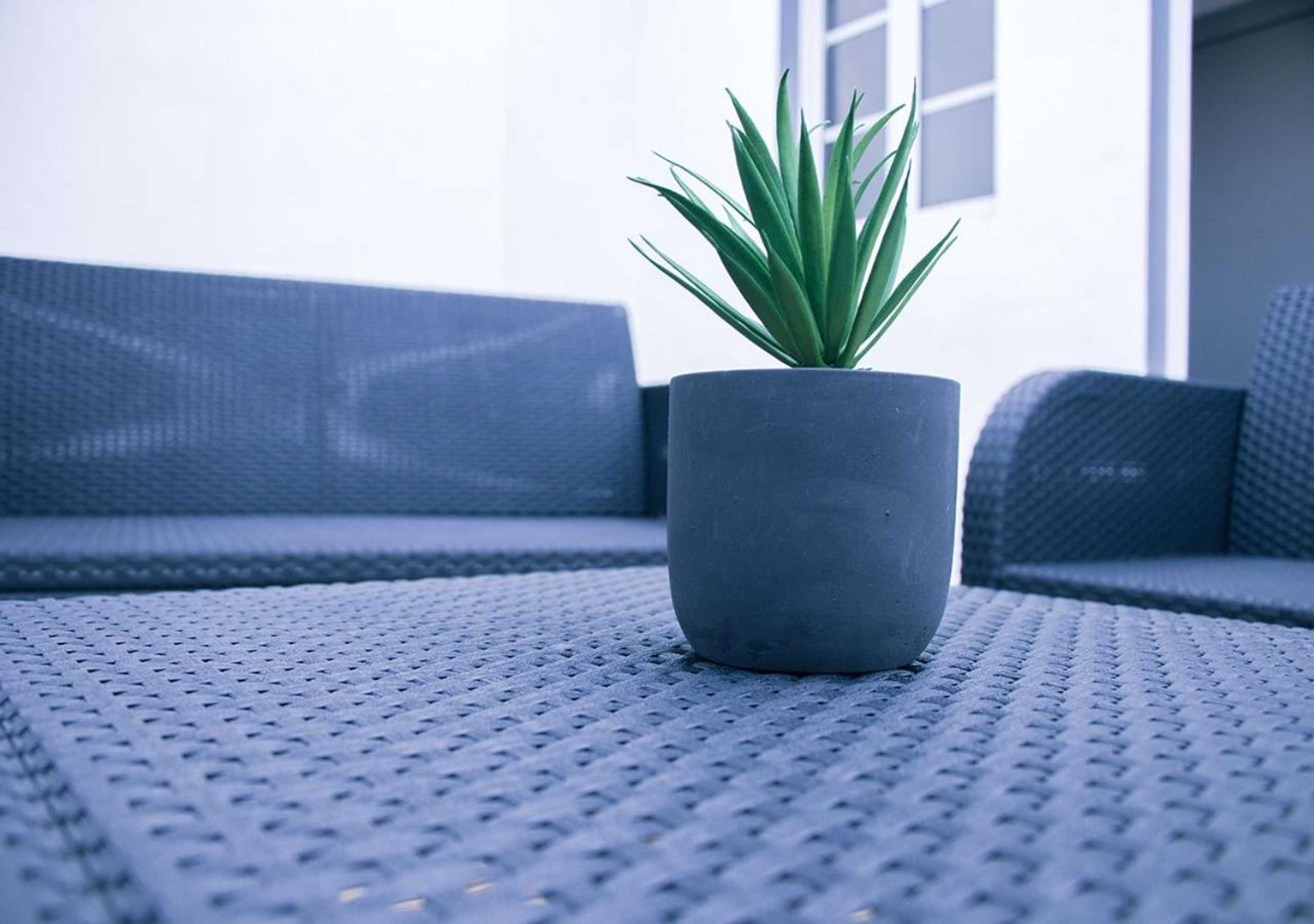 Gift card for Cantinho do Pensamento