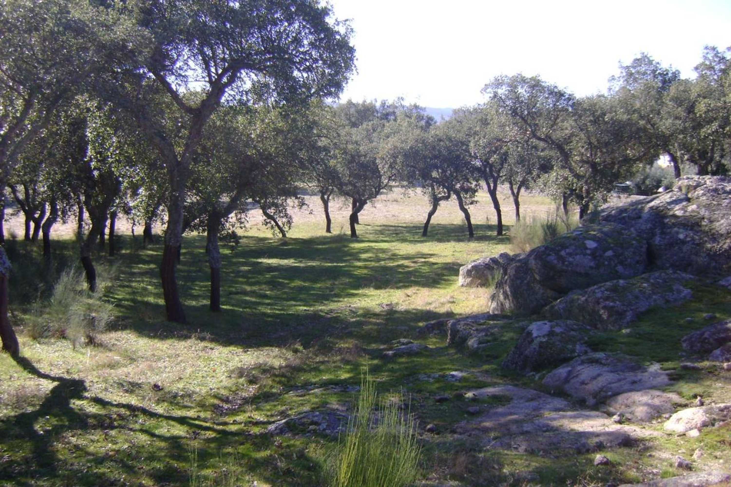 Gift card for Tapada da Beirã