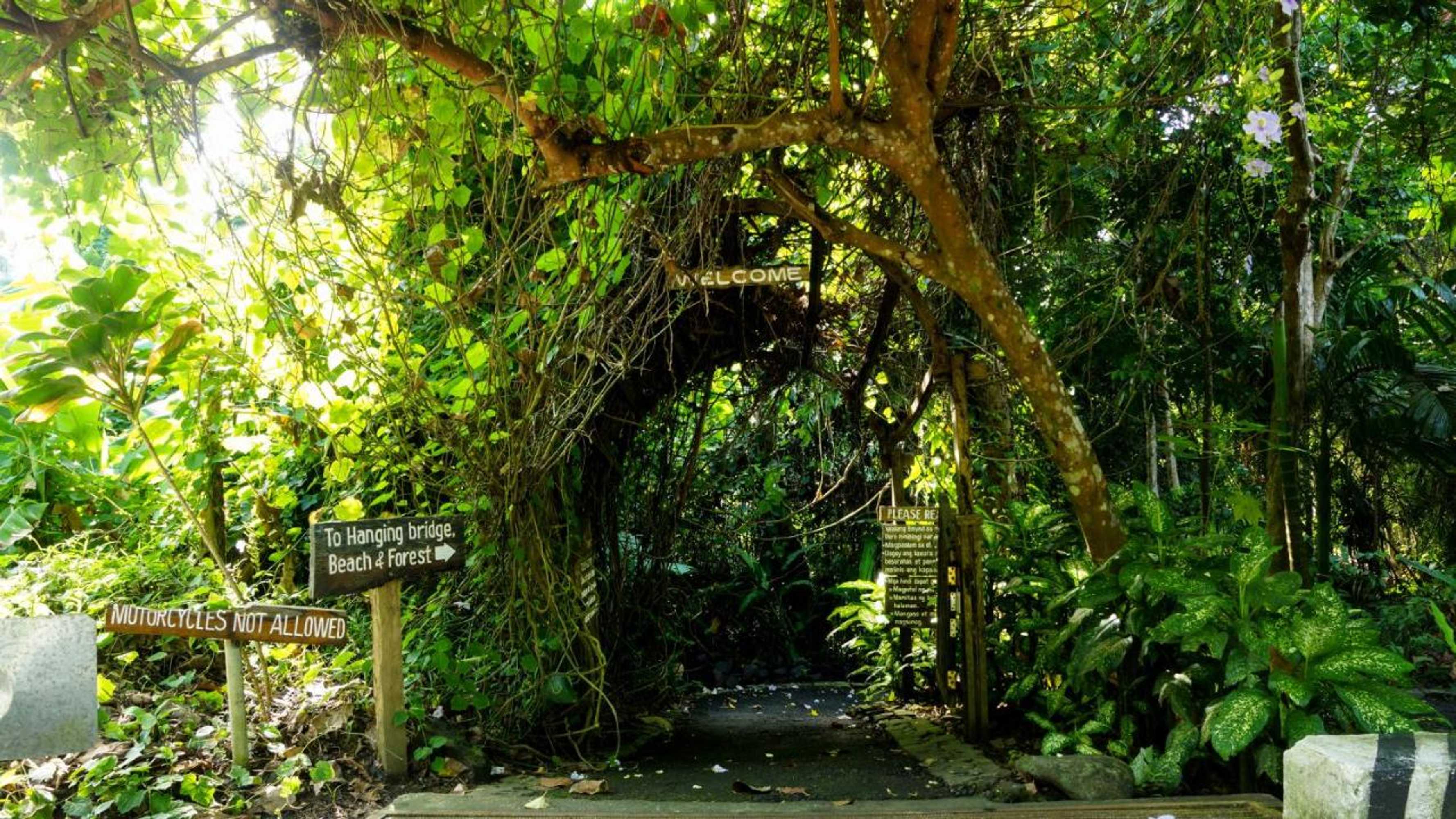 Gift card for Mirisbiris Garden And Nature Center