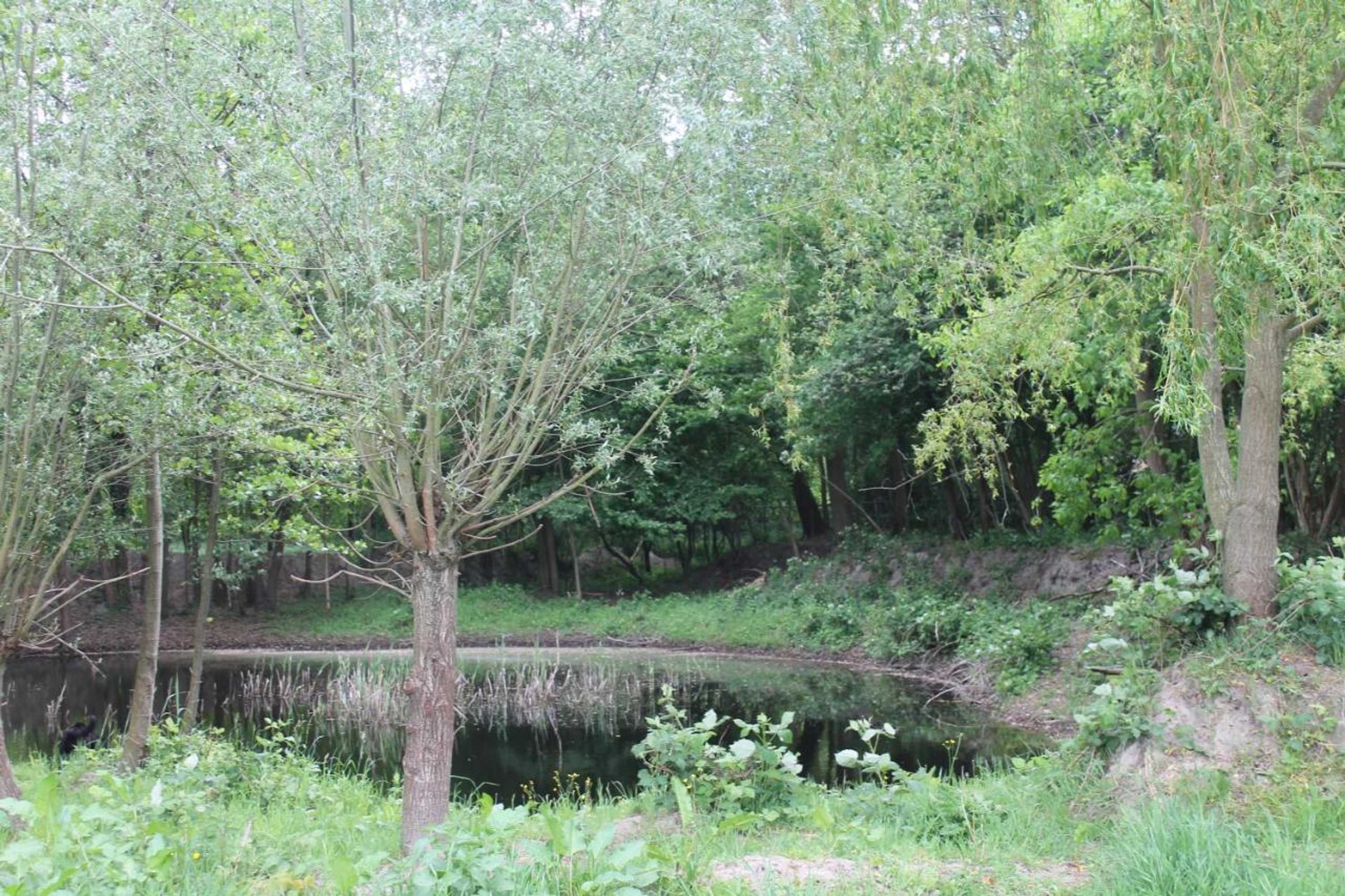 Gift card for Gastenverblijf Peppelmate