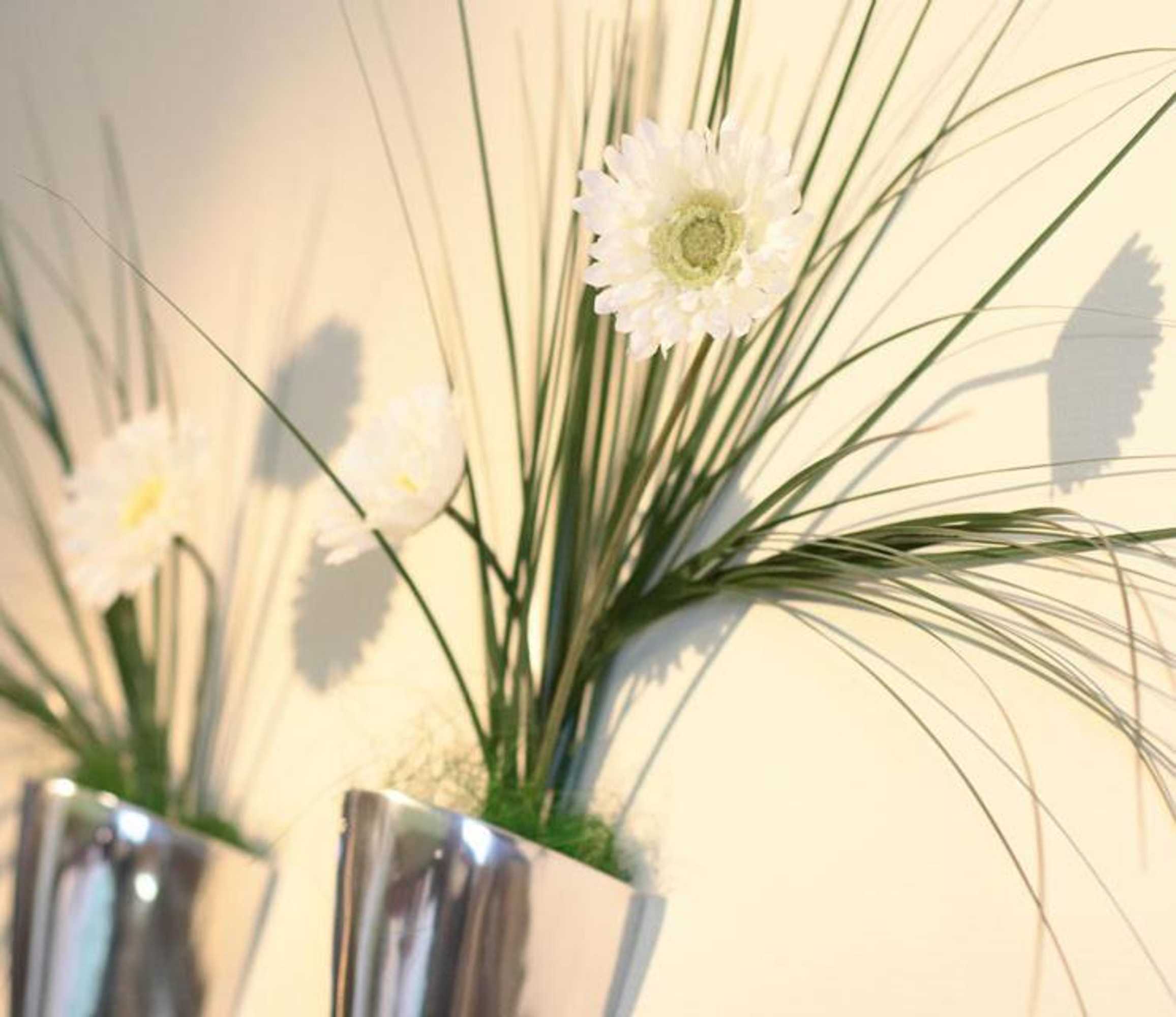 Gift card for Qualitel Wilnsdorf