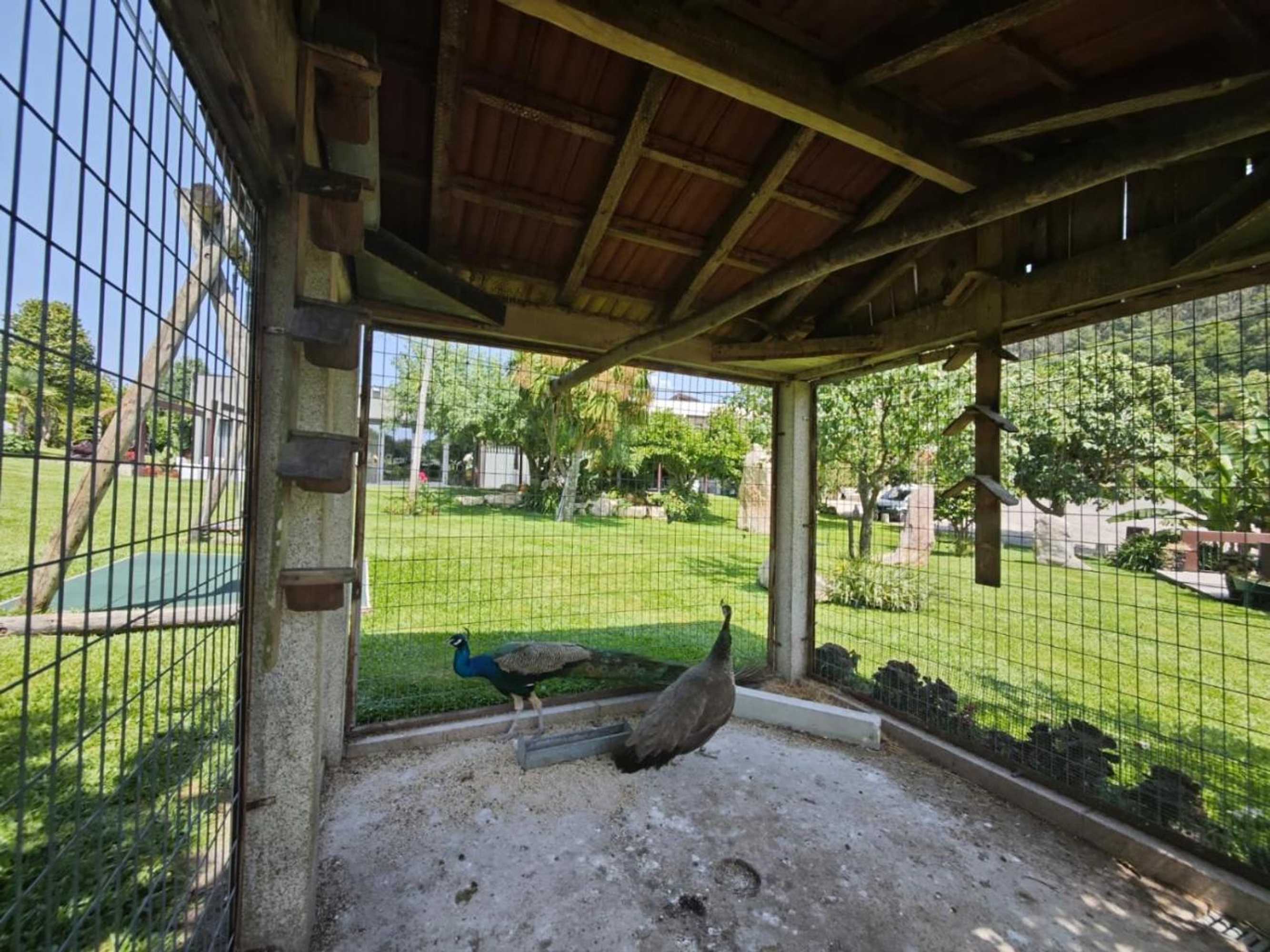 Gift card for Quinta do Botas