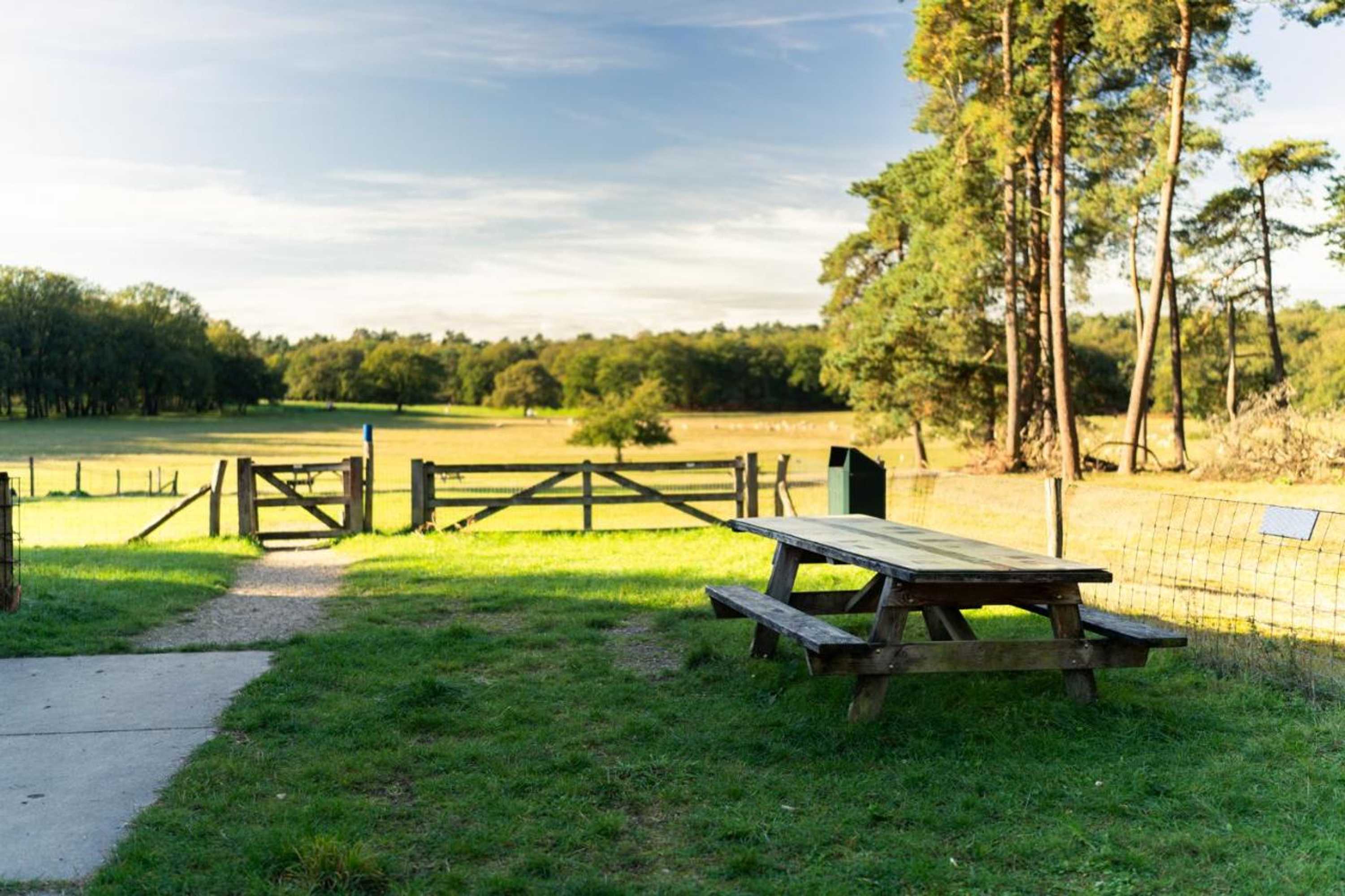 Gift card for Hotel Restaurant 