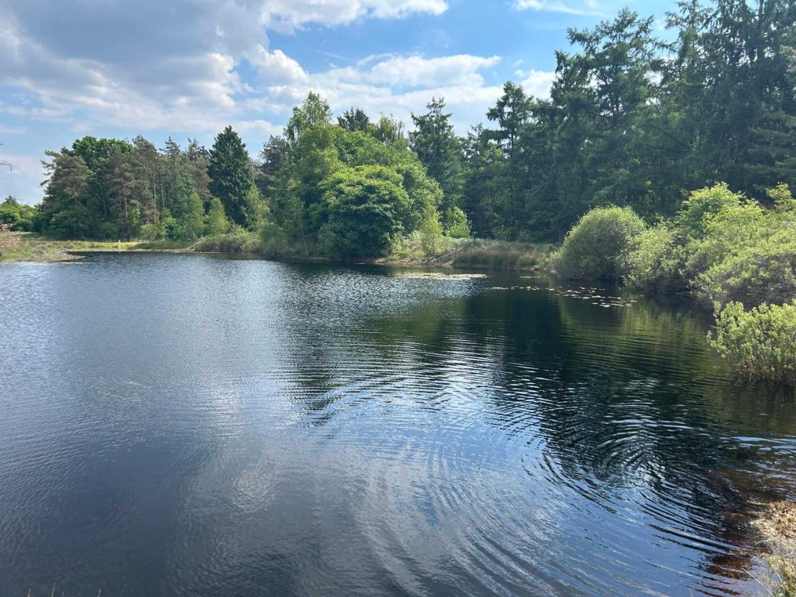 Gift card for Bed&breakfast Kamersven