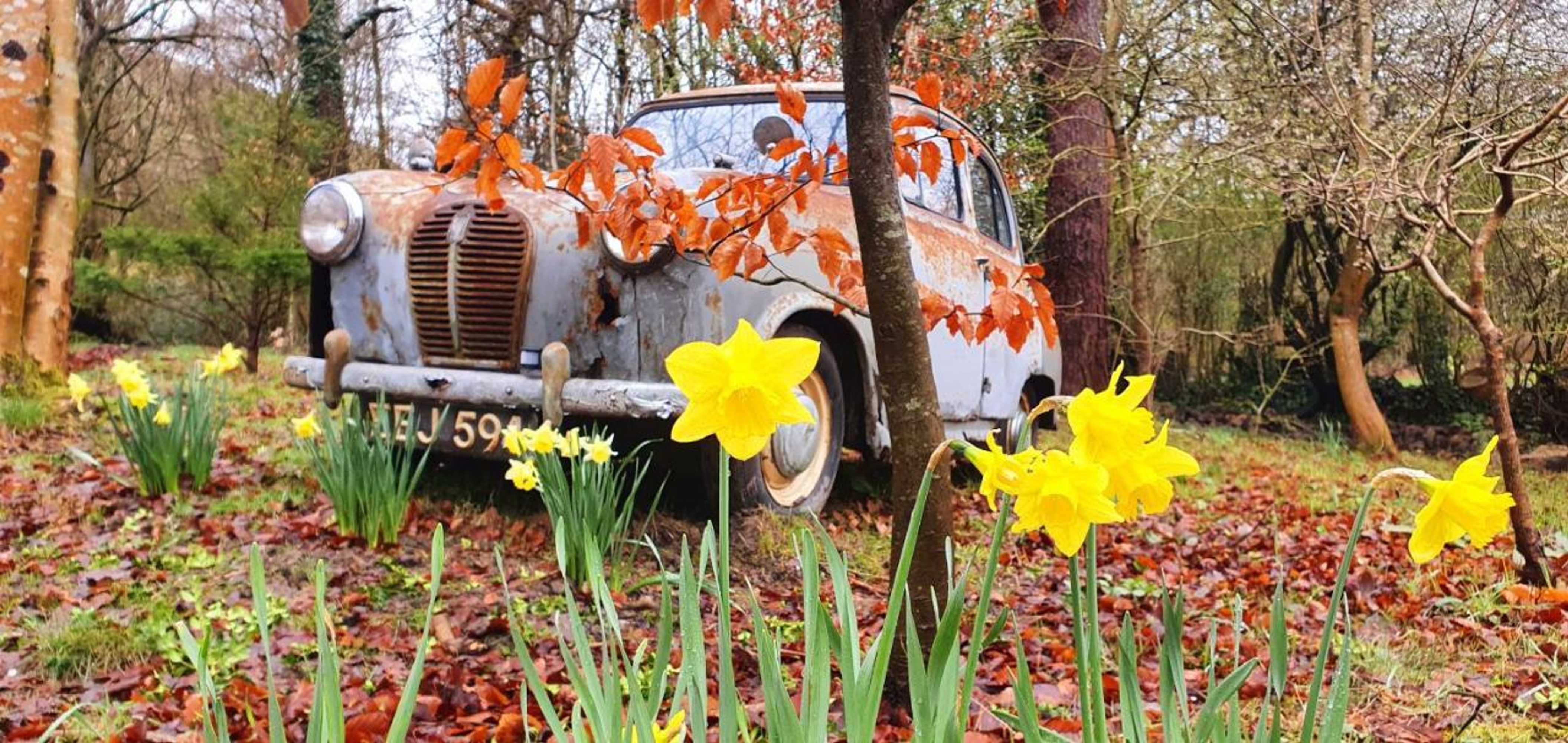 Gift card for Miners Log Cabin