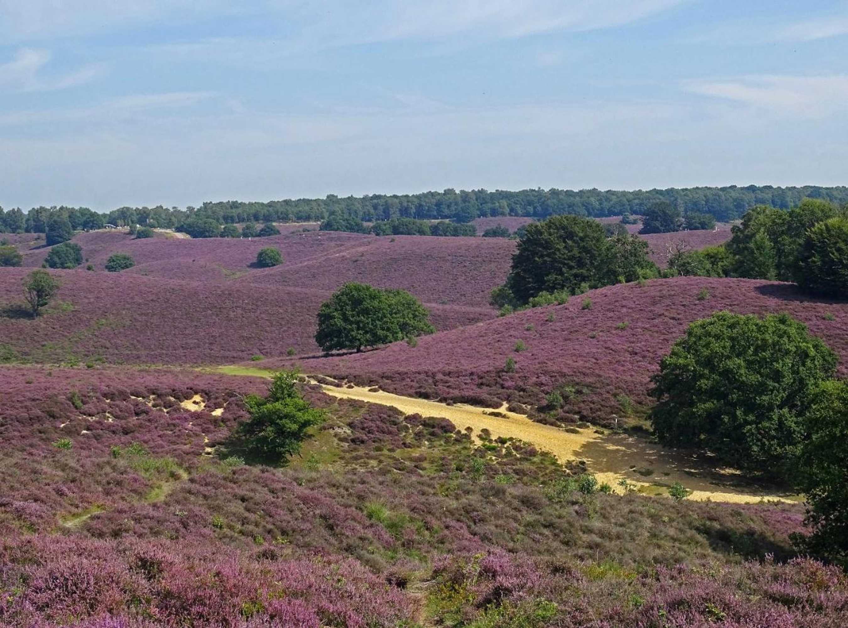 Gift card for Chalet Descansar op de Veluwe