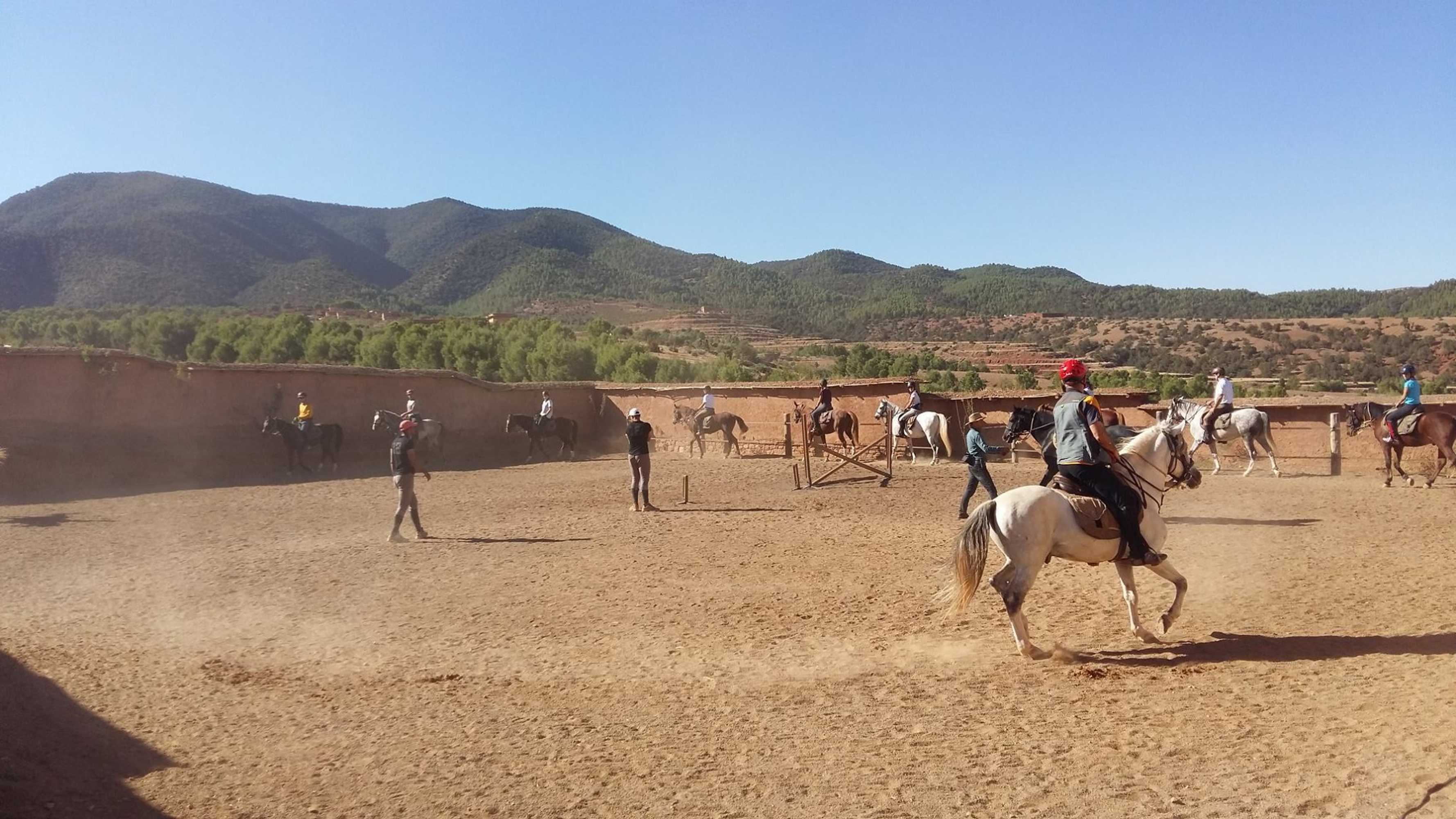 Gift card for Le Domaine D'amanar Gift card for Le Domaine D'amanar