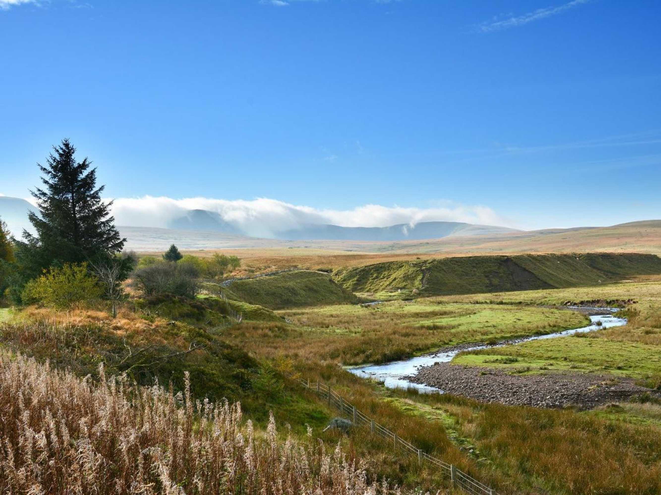 Gift card for Clearvewe