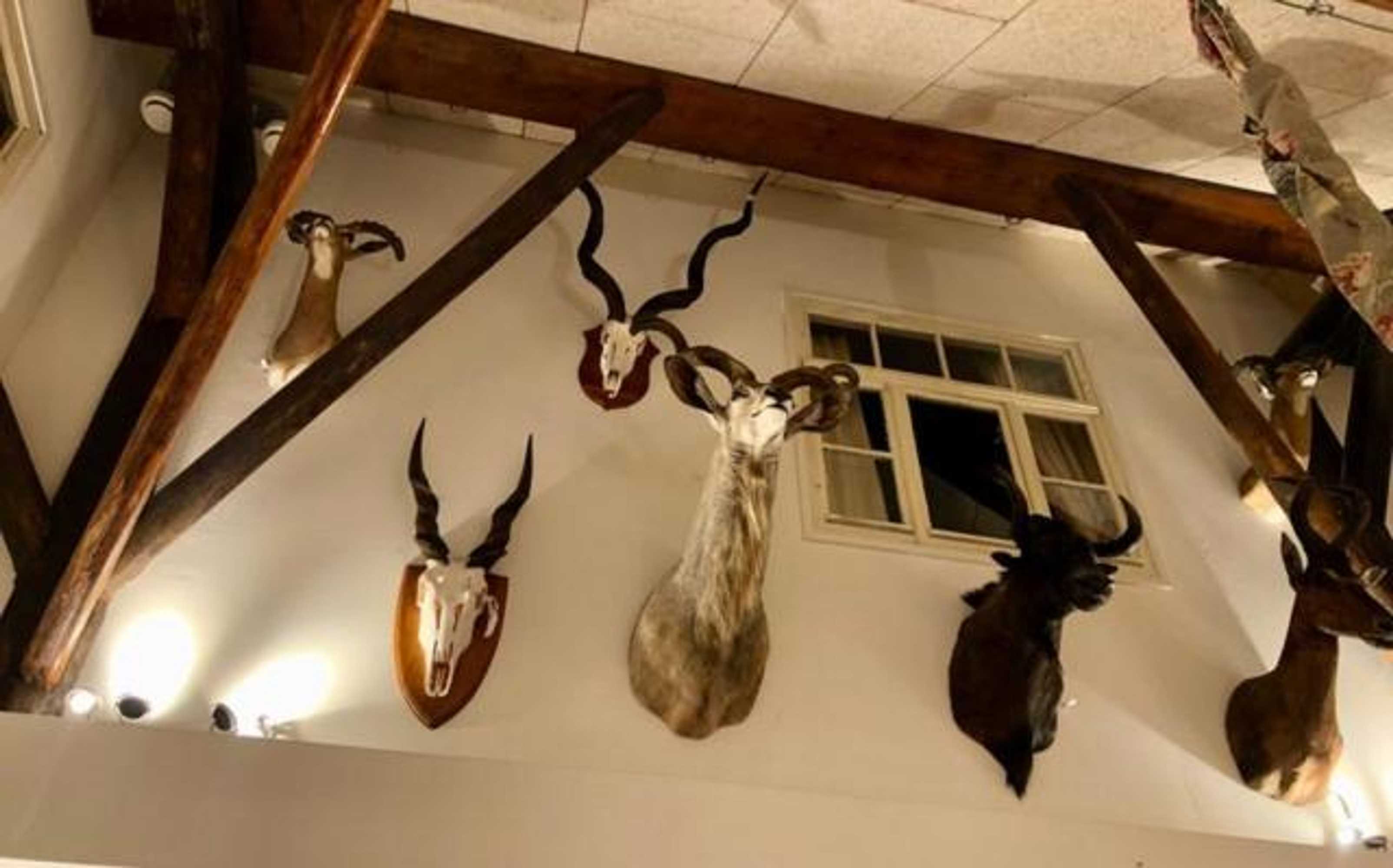 Gift card for The Black Horse B&b & More