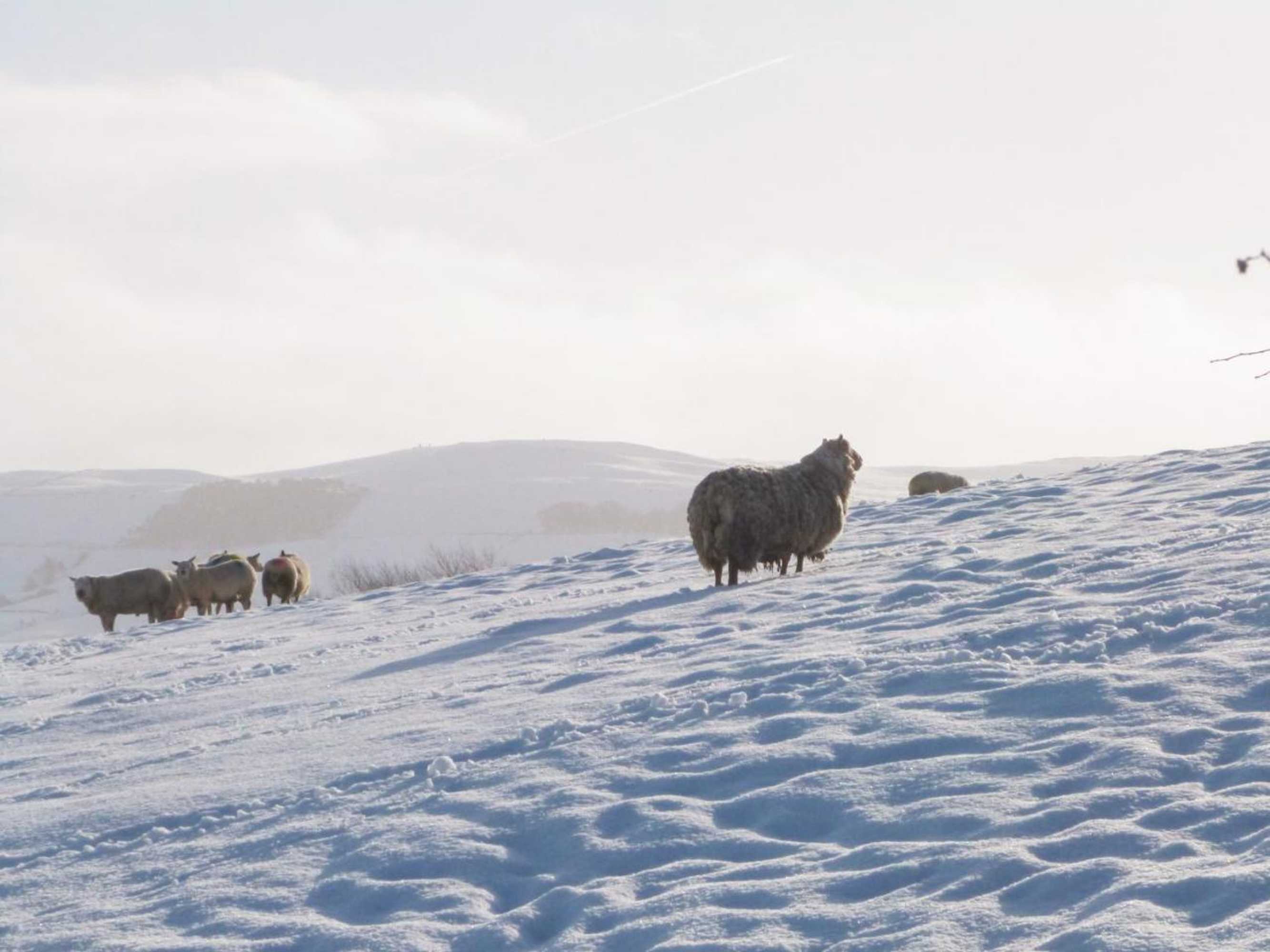 Gift card for Ermysteds Cottage