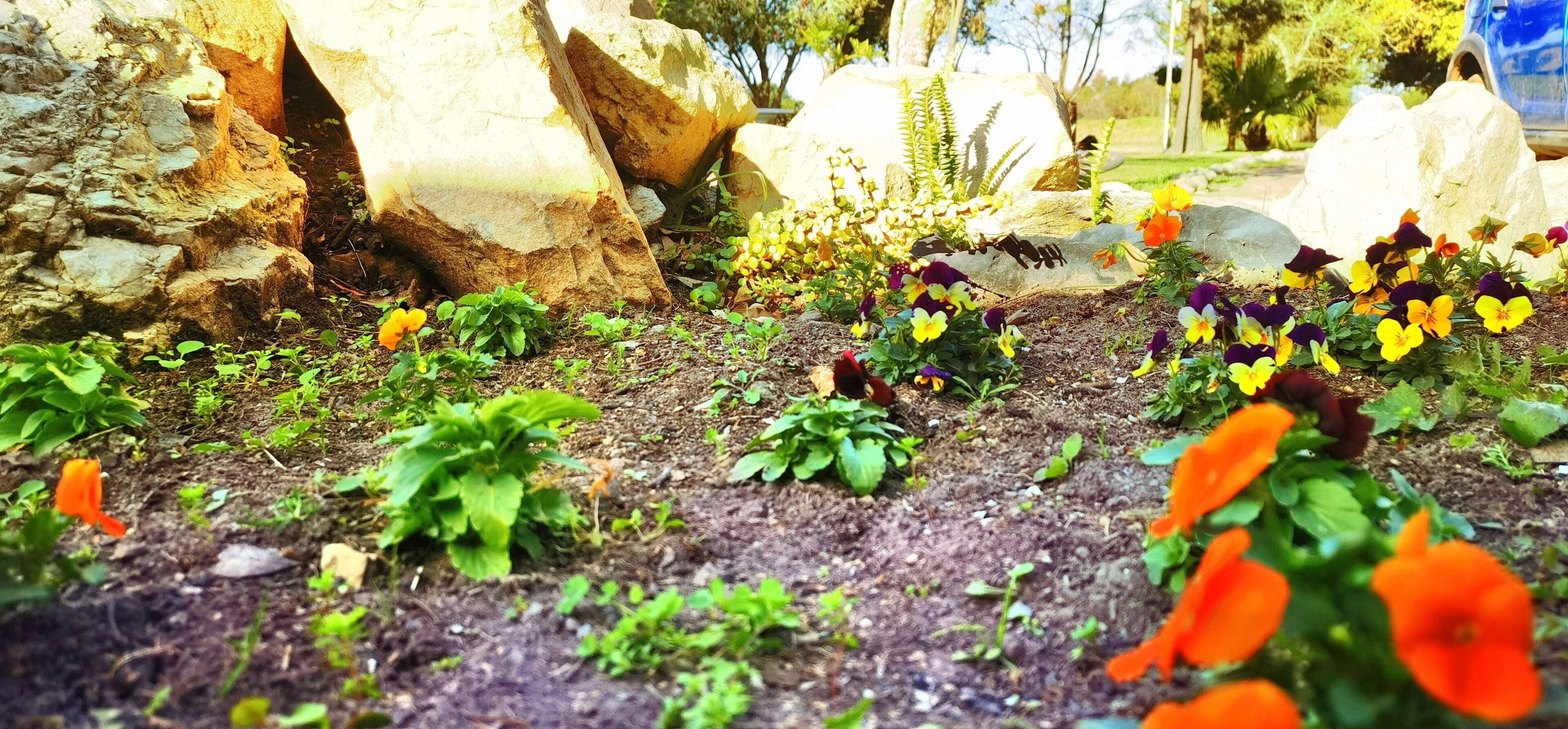 Gift card for Moonsong Accommodation & Camping