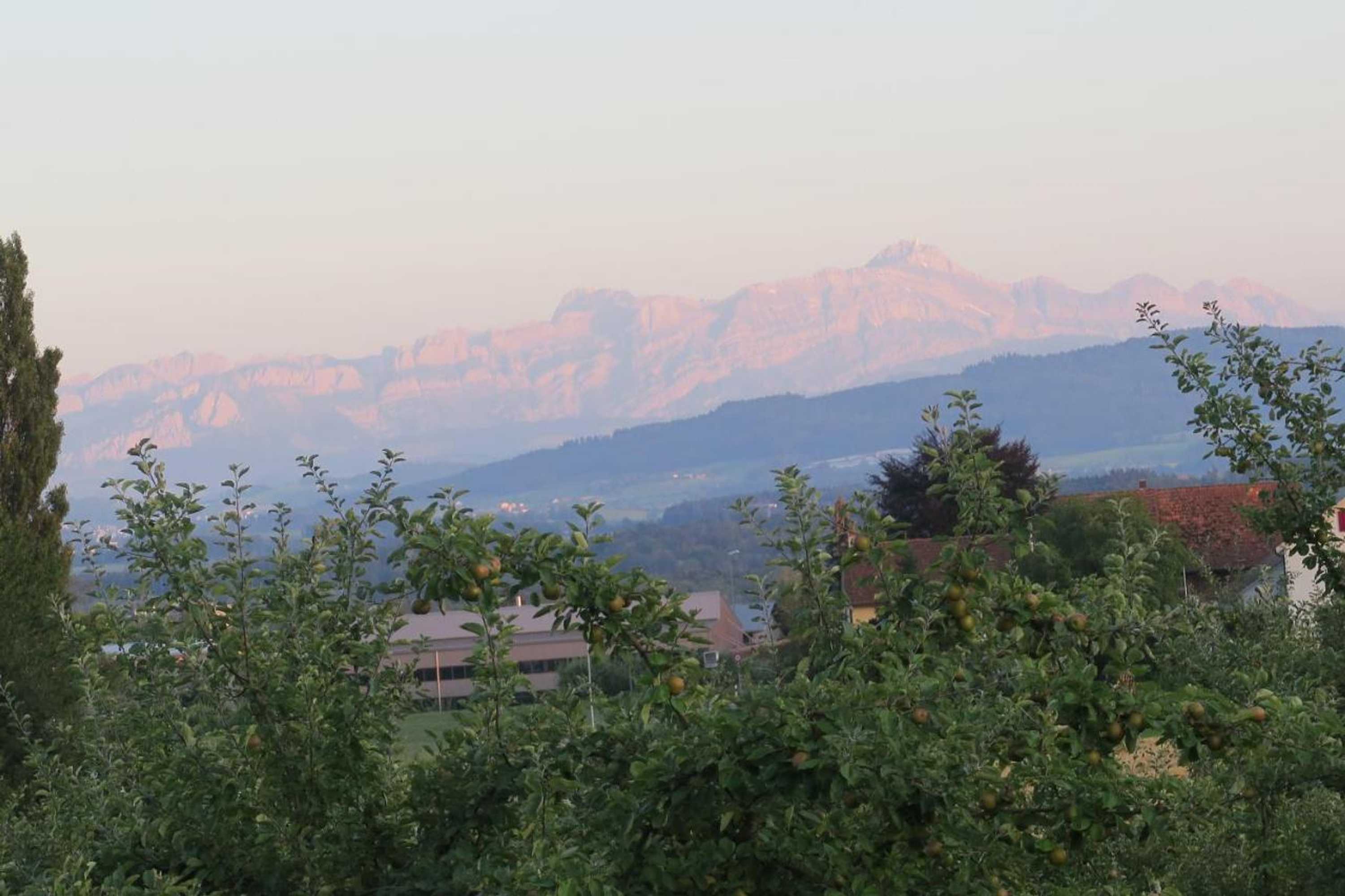 Gift card for Haus St.michael