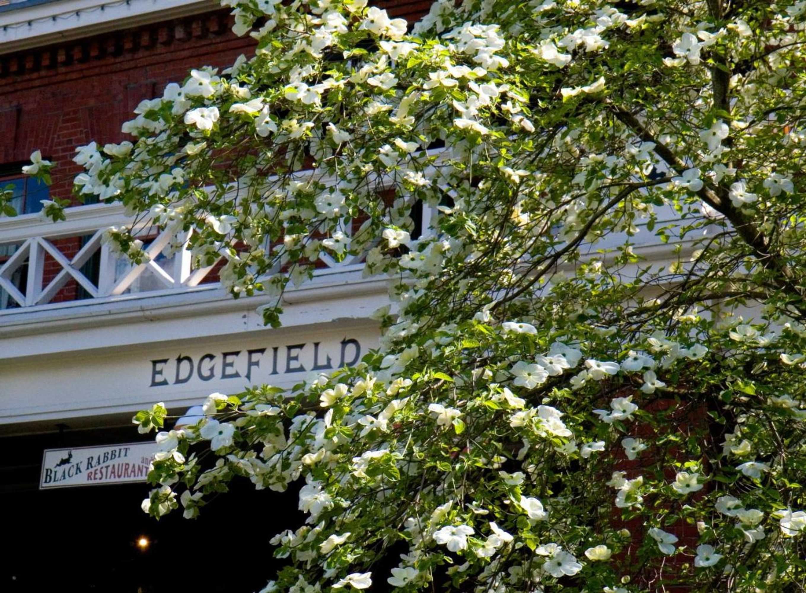 Gift card for Mcmenamins Edgefield