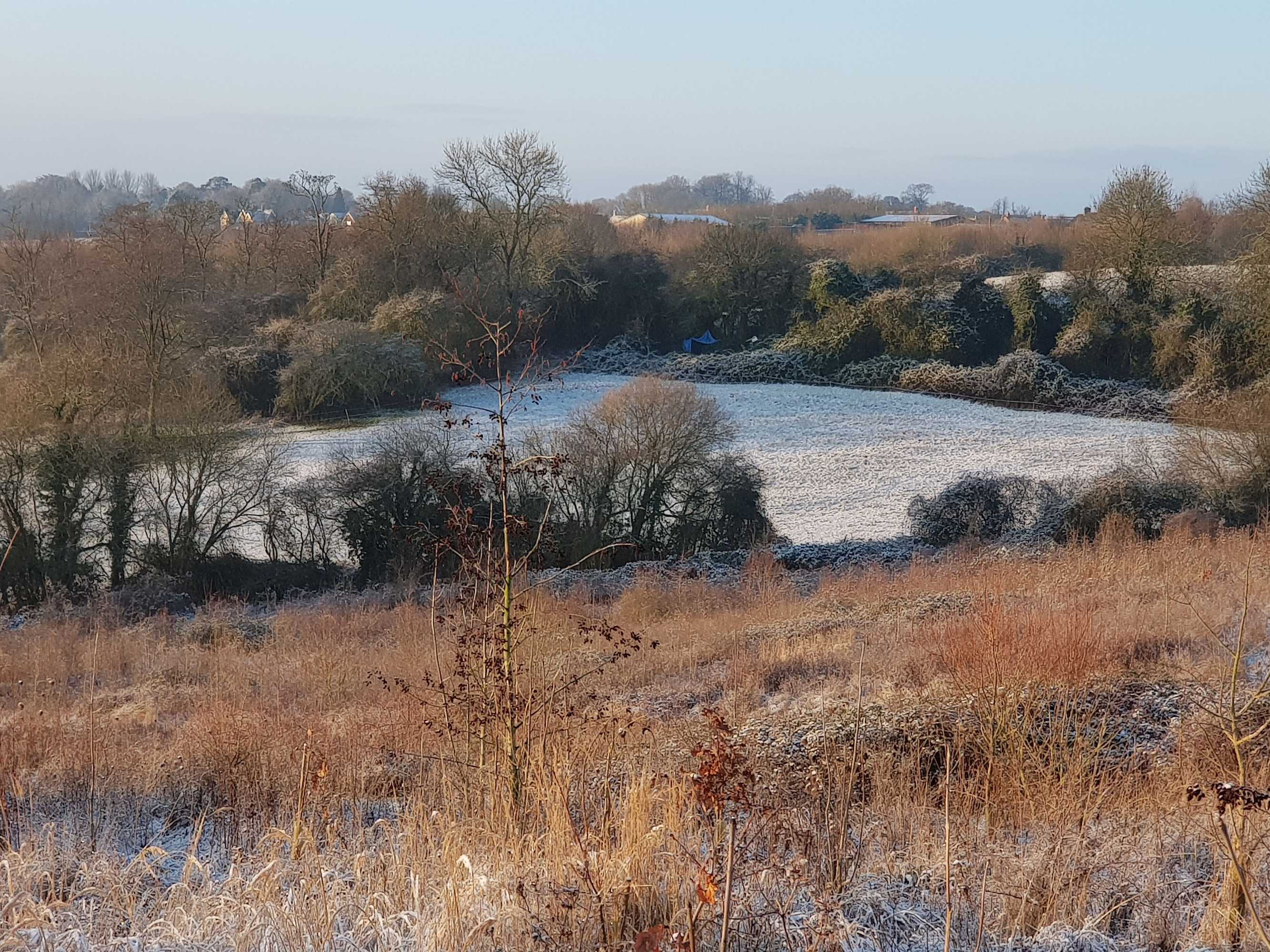 Gift card for Wisteria Haze