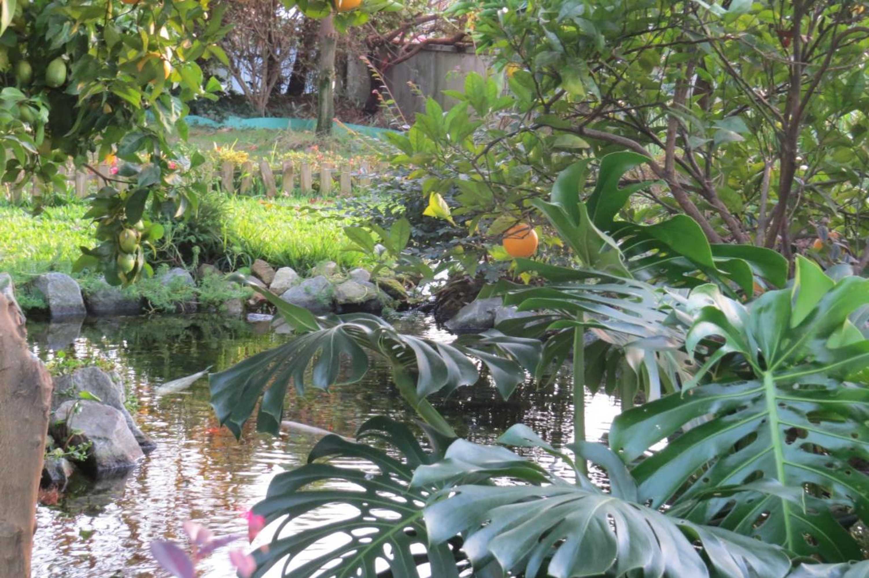 Gift card for Sweet Home Braga Hostel & Guest House